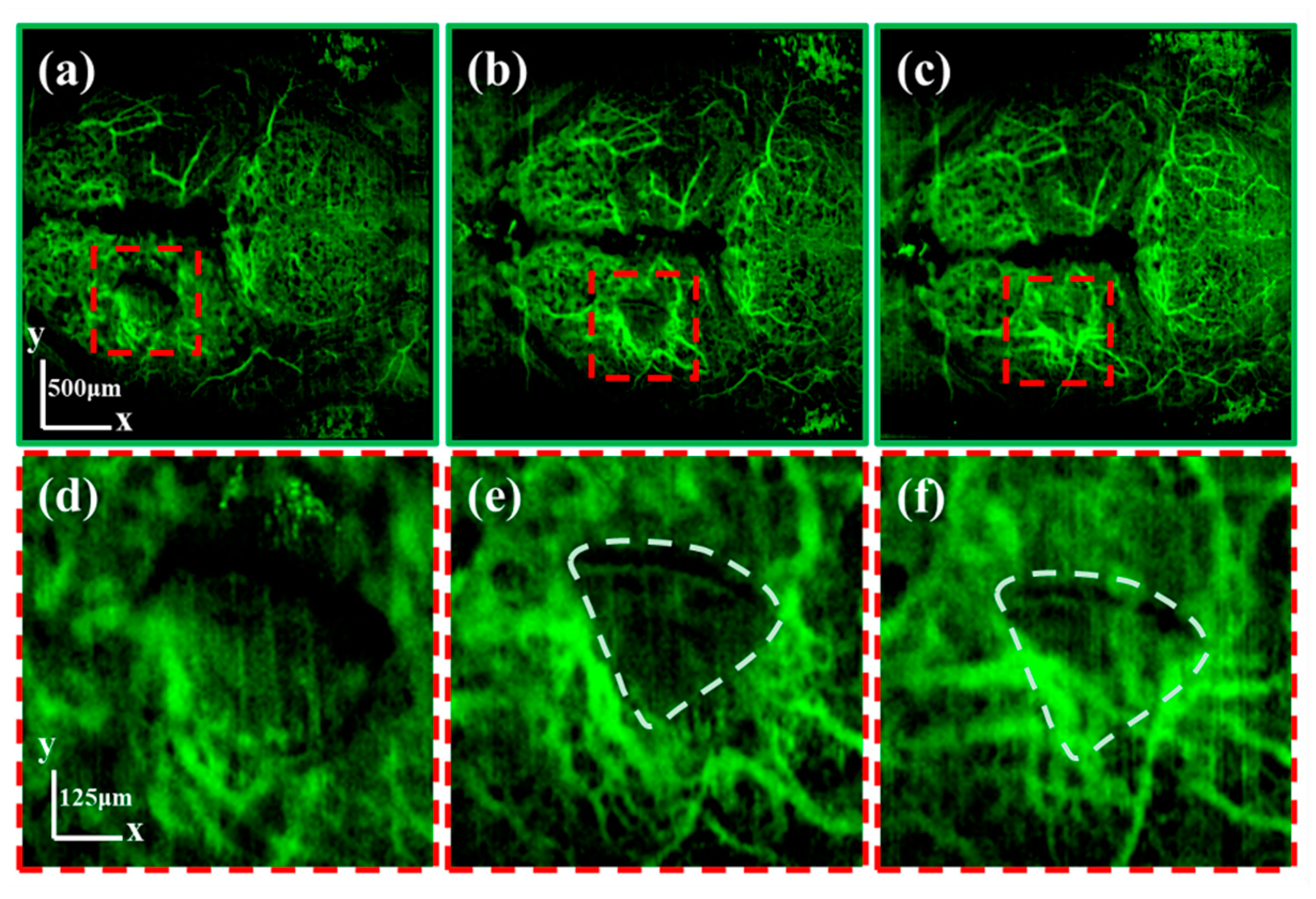 Bioengineering 10 00856 g007 Bioengineering 10 00856 g007