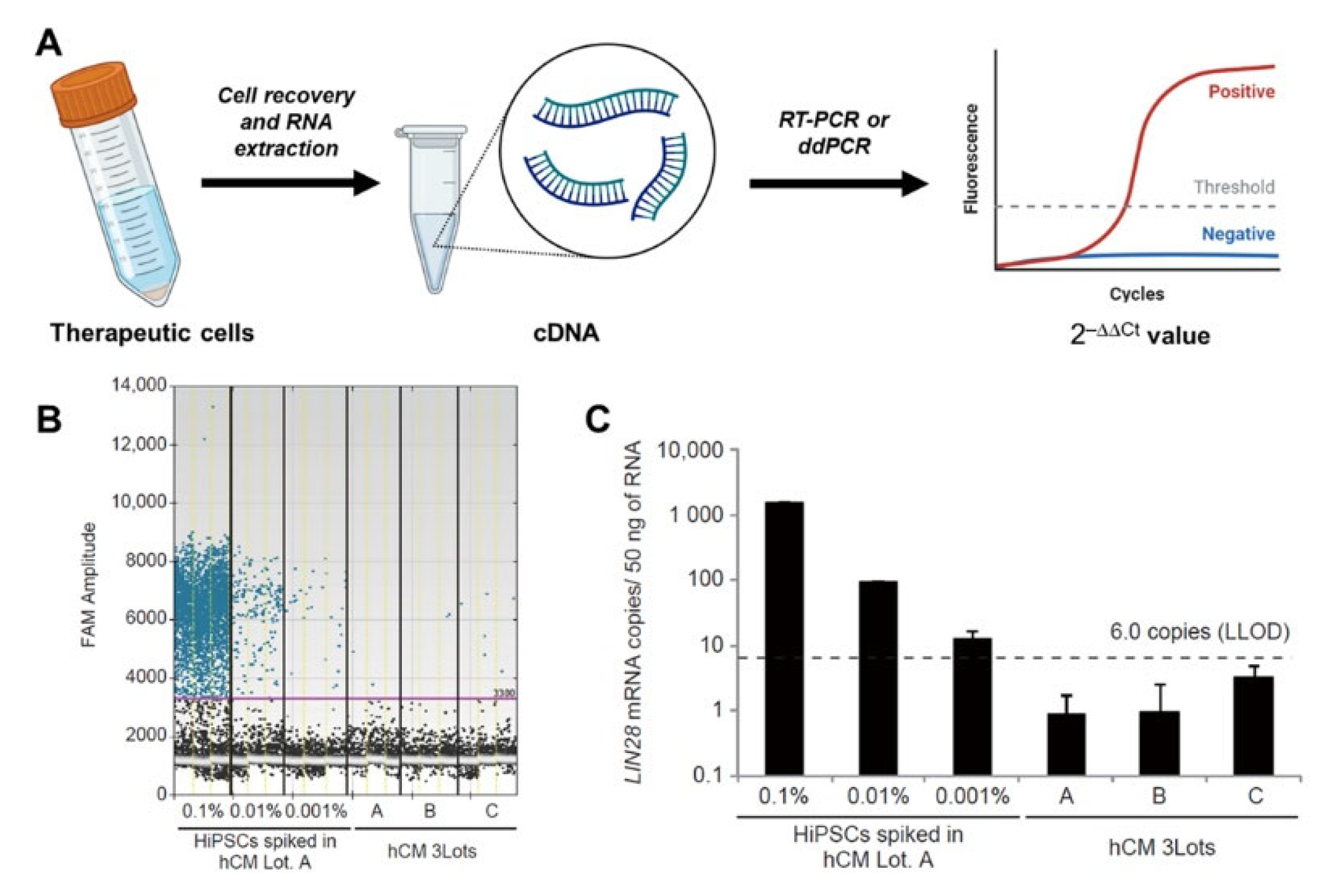 Bioengineering 10 00857 g003