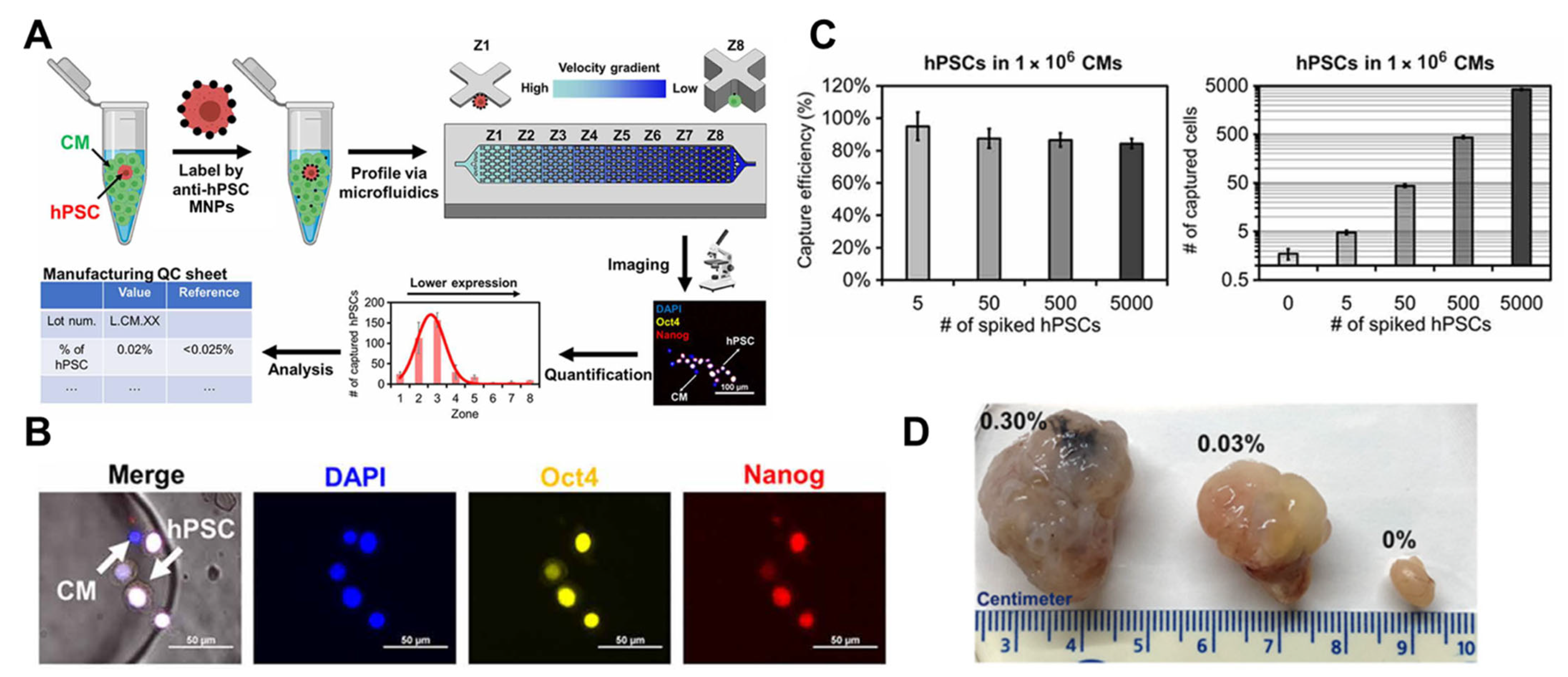 Bioengineering 10 00857 g004