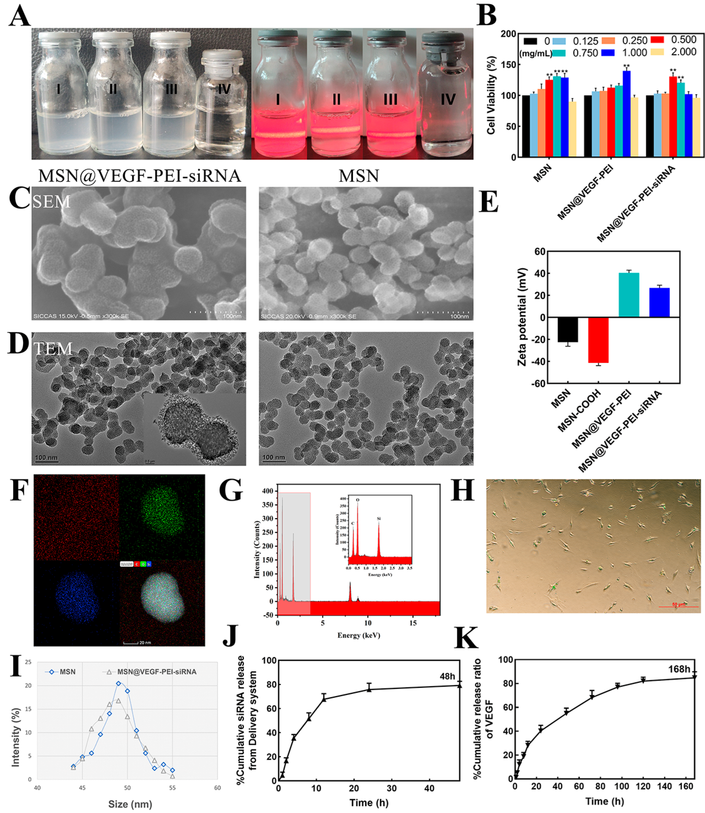 Bioengineering 10 00859 g002 Bioengineering 10 00859 g002