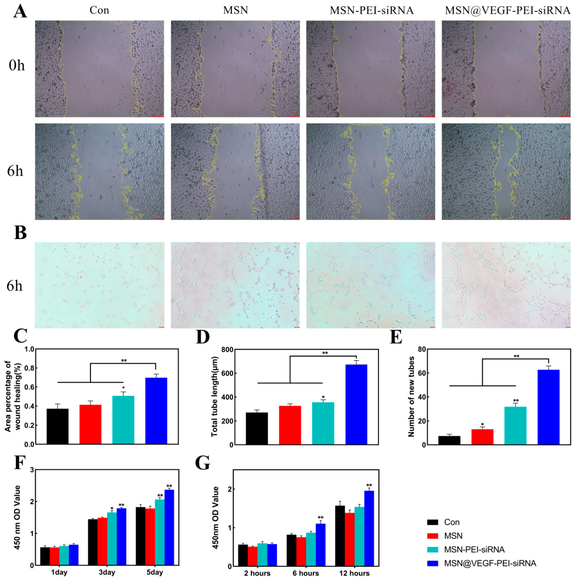 Bioengineering 10 00859 g004 Bioengineering 10 00859 g004