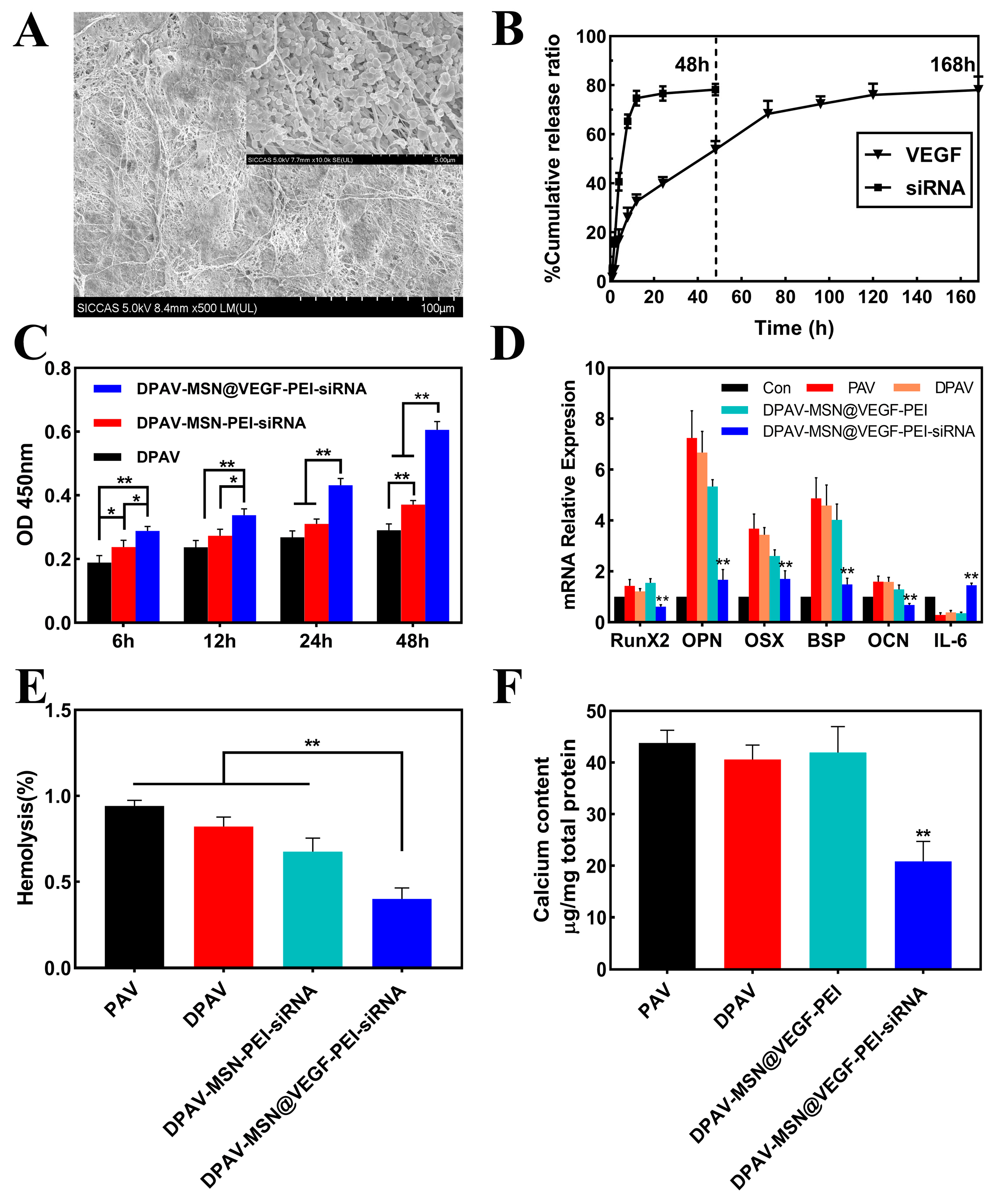 Bioengineering 10 00859 g005 Bioengineering 10 00859 g005