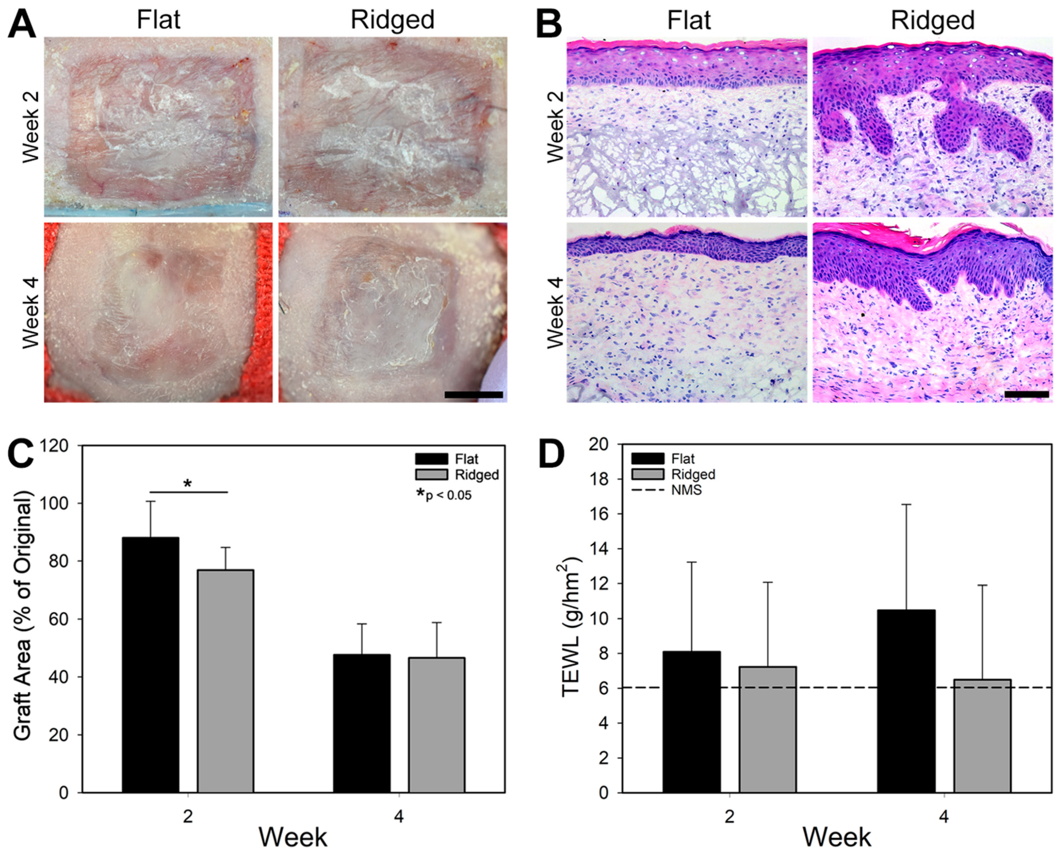 Bioengineering 10 00861 g004