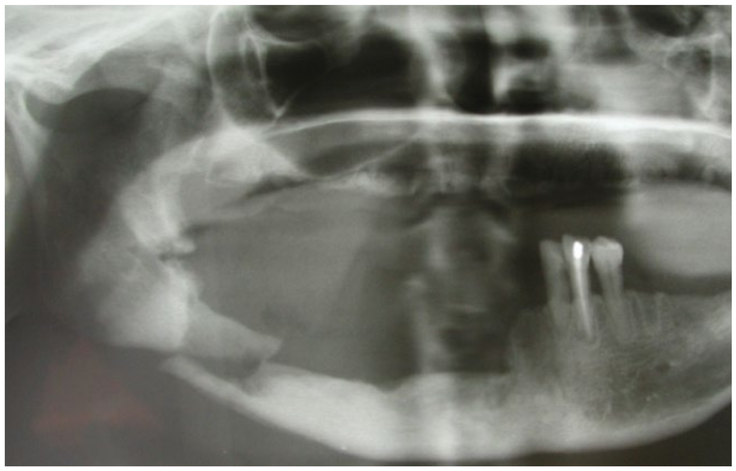 Bioengineering 10 00863 g001