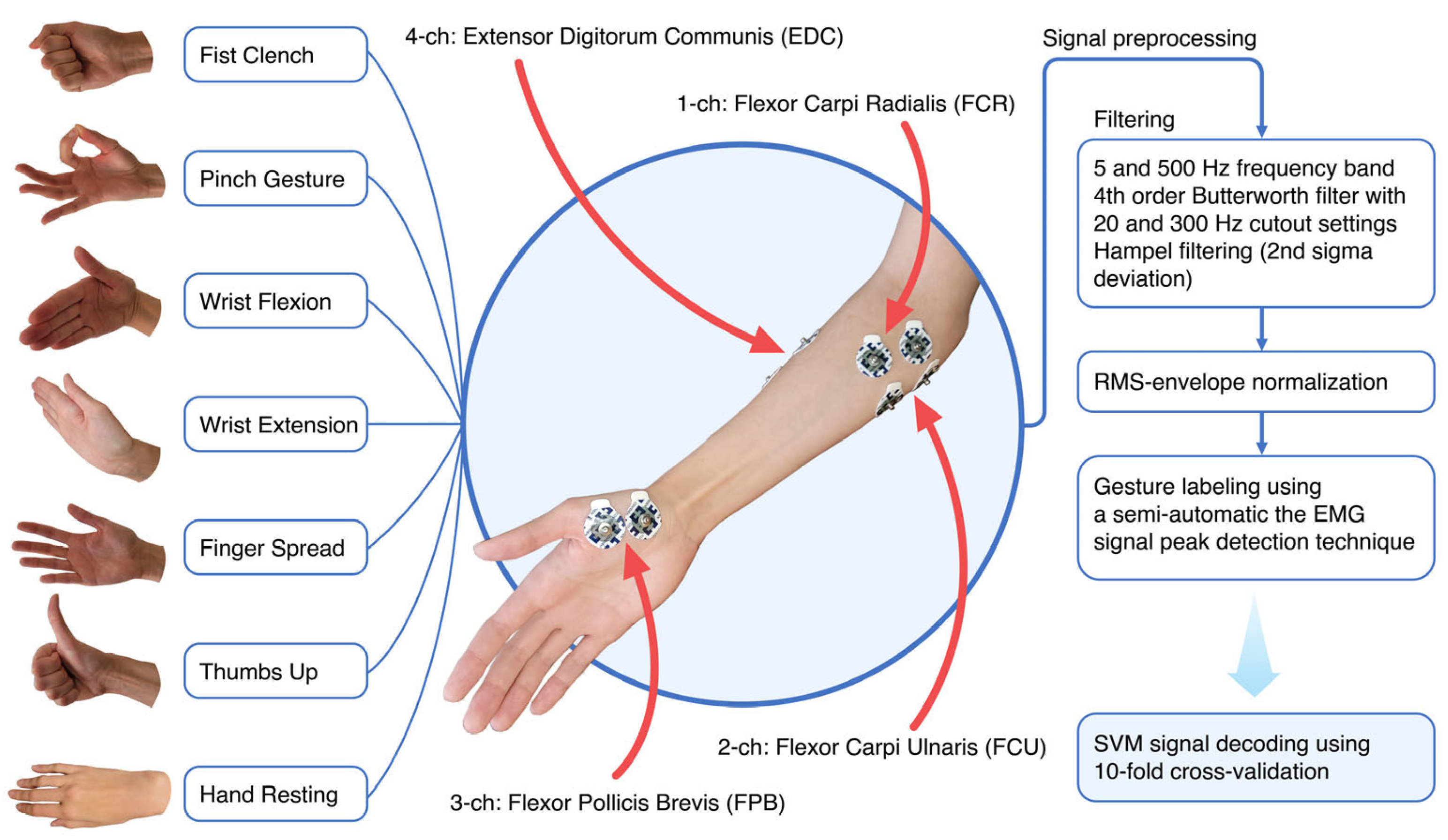 Bioengineering 10 00866 g002