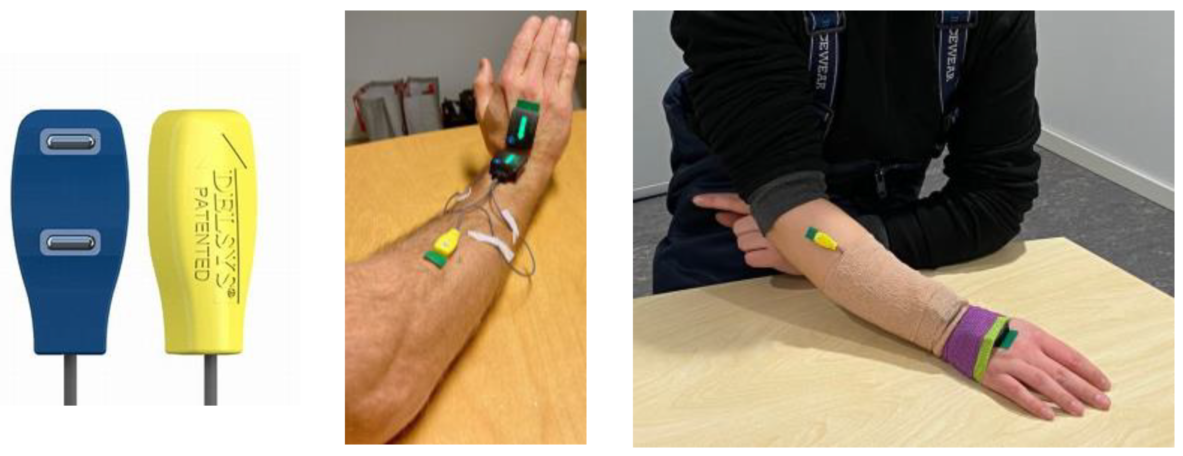 Bioengineering 10 00867 g001 Bioengineering 10 00867 g001