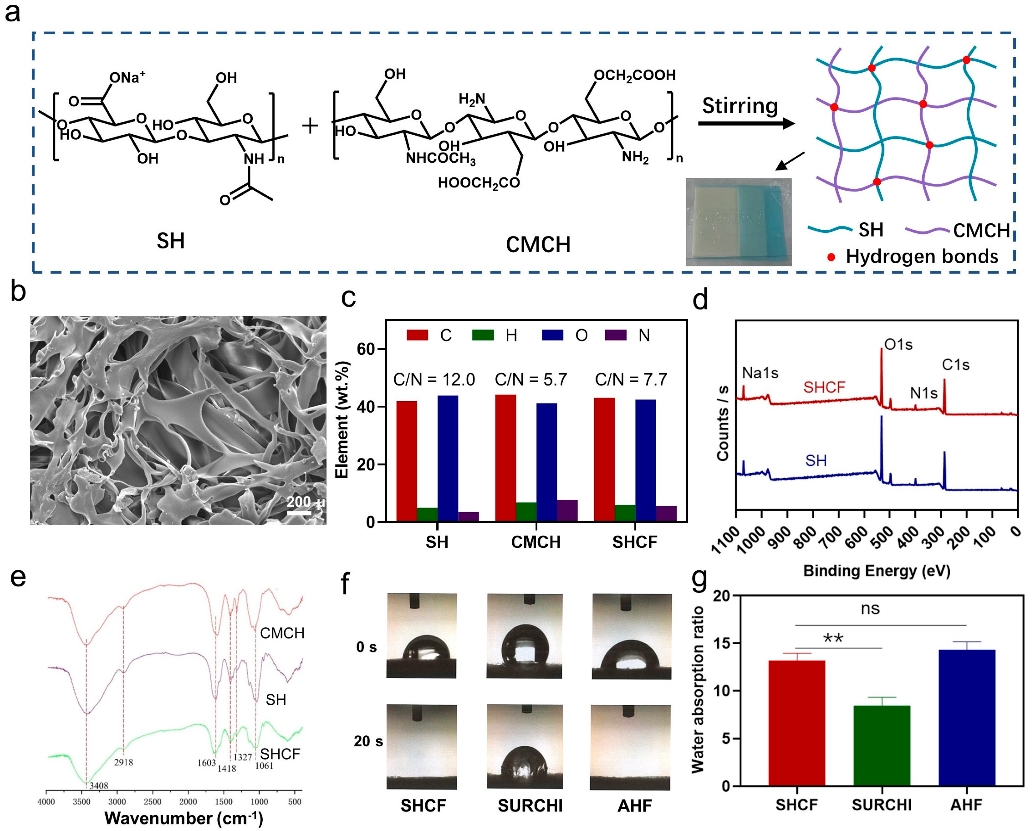 Bioengineering 10 00868 g001 Bioengineering 10 00868 g001
