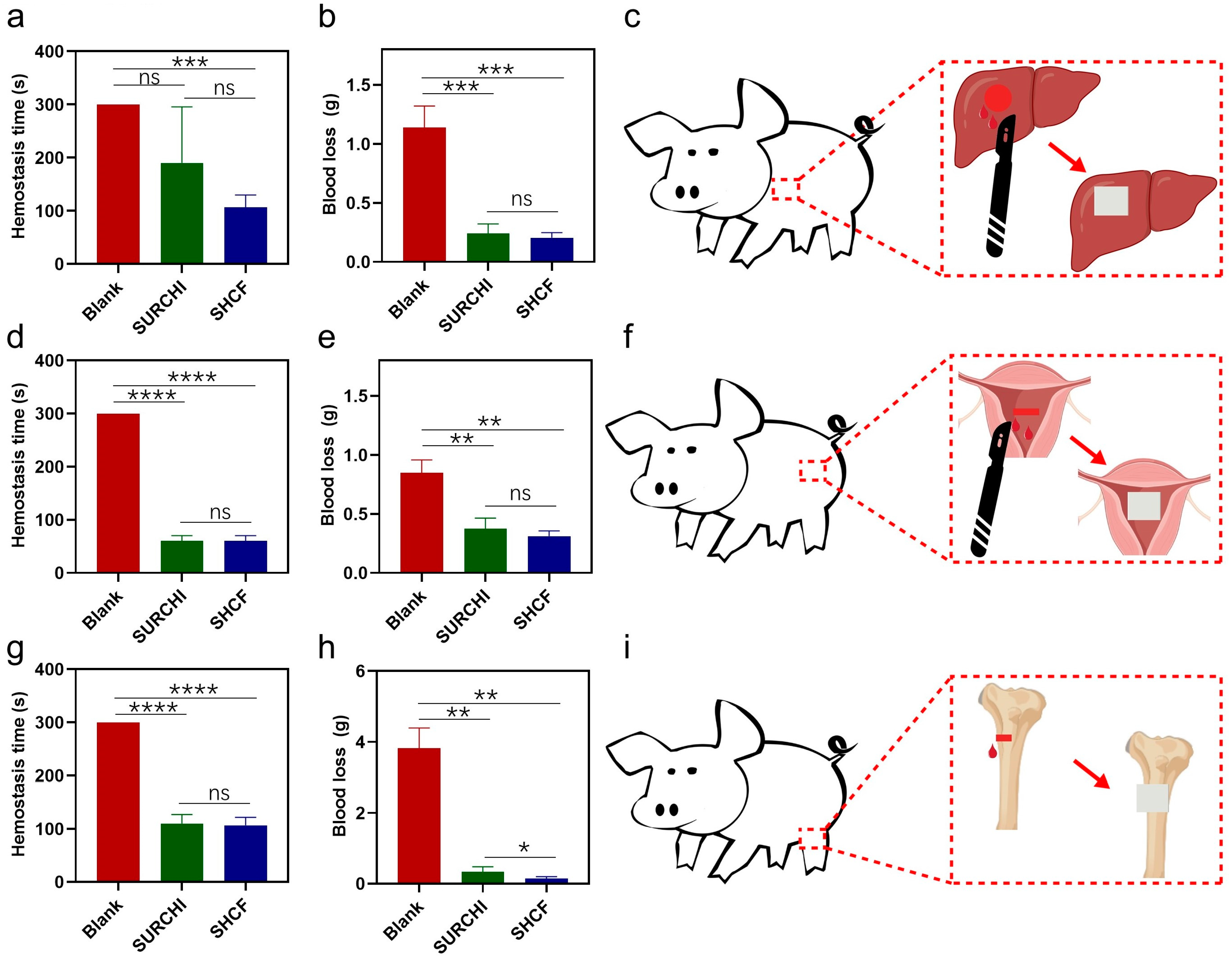 Bioengineering 10 00868 g005 Bioengineering 10 00868 g005