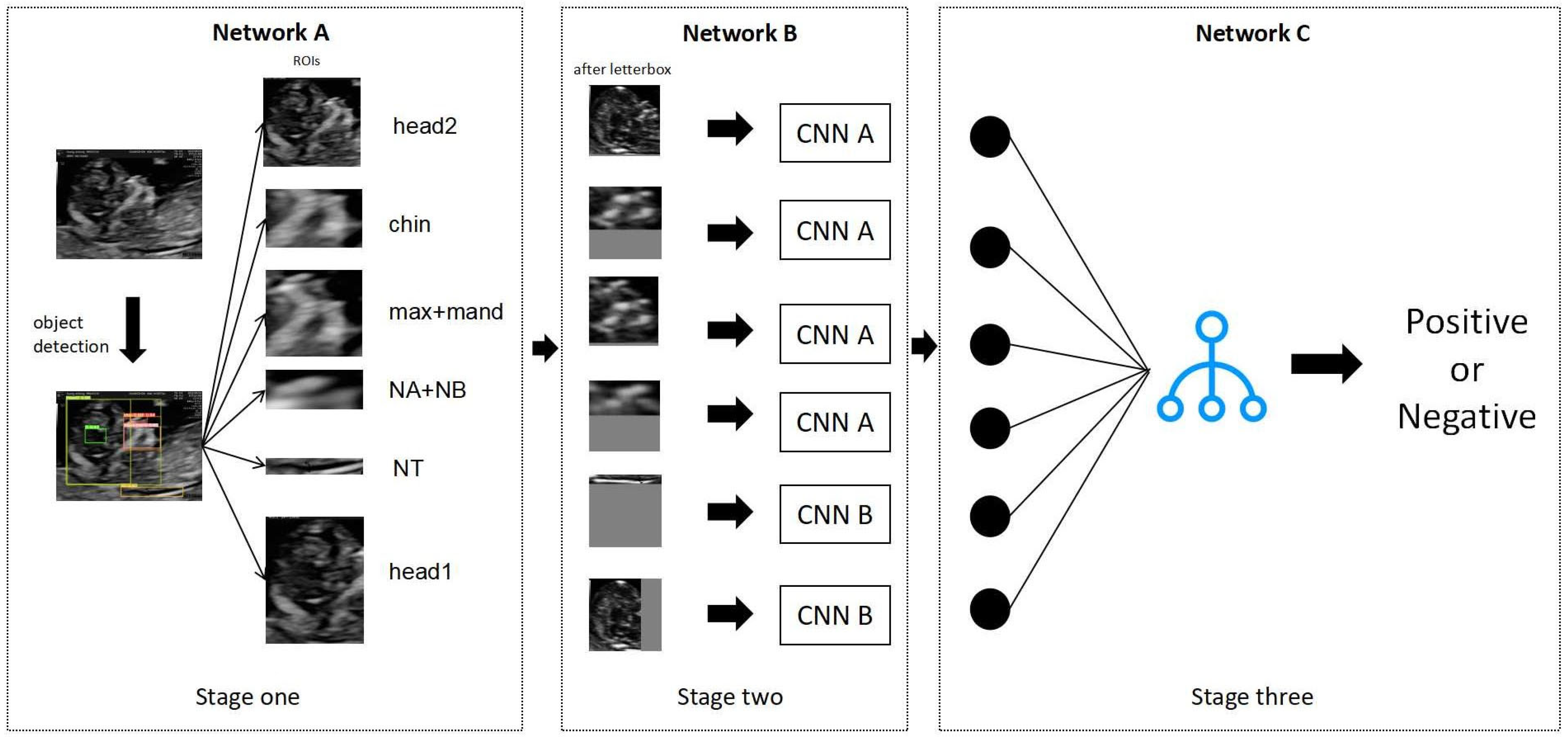 Bioengineering 10 00873 g002