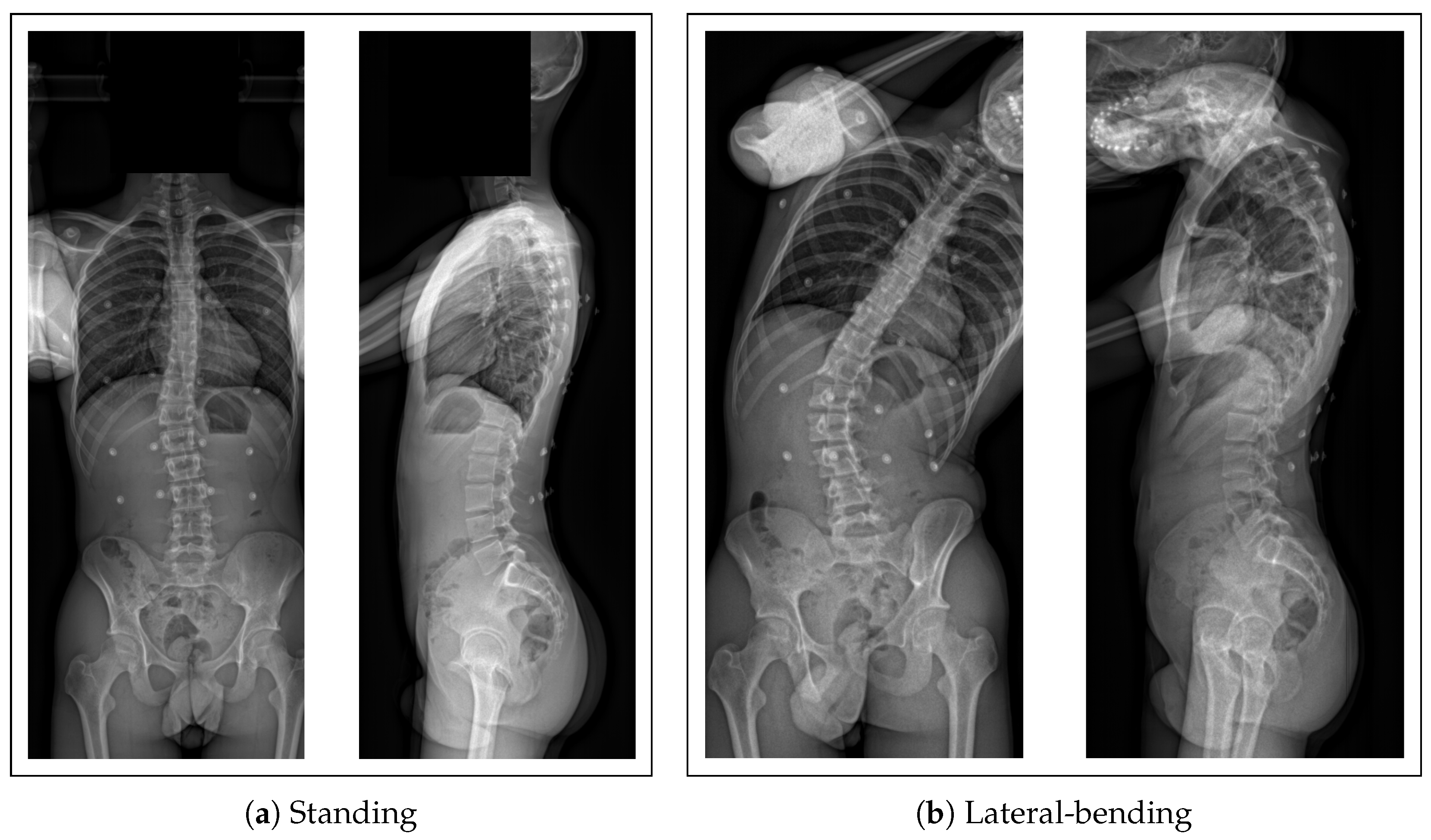 Bioengineering 10 00874 g002 Bioengineering 10 00874 g002