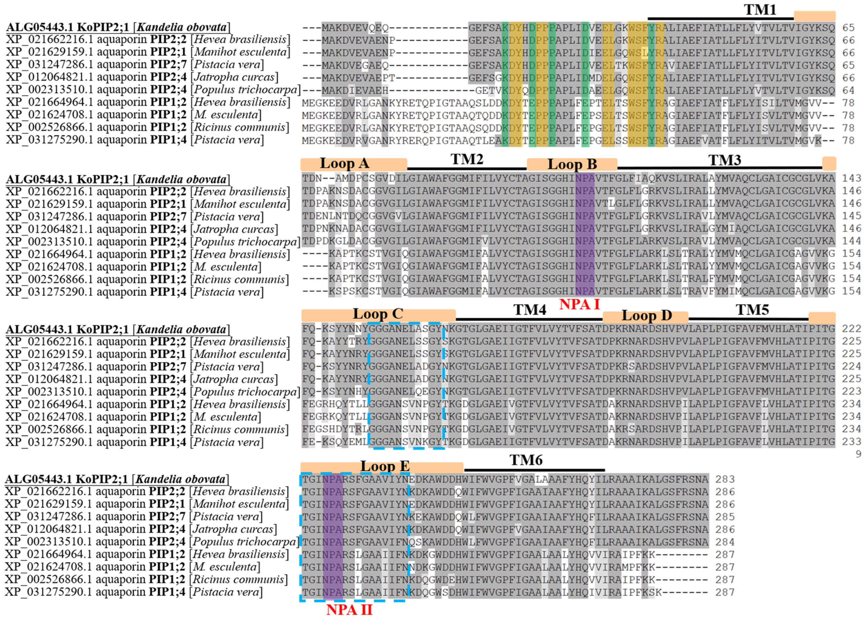 Bioengineering 10 00878 g001