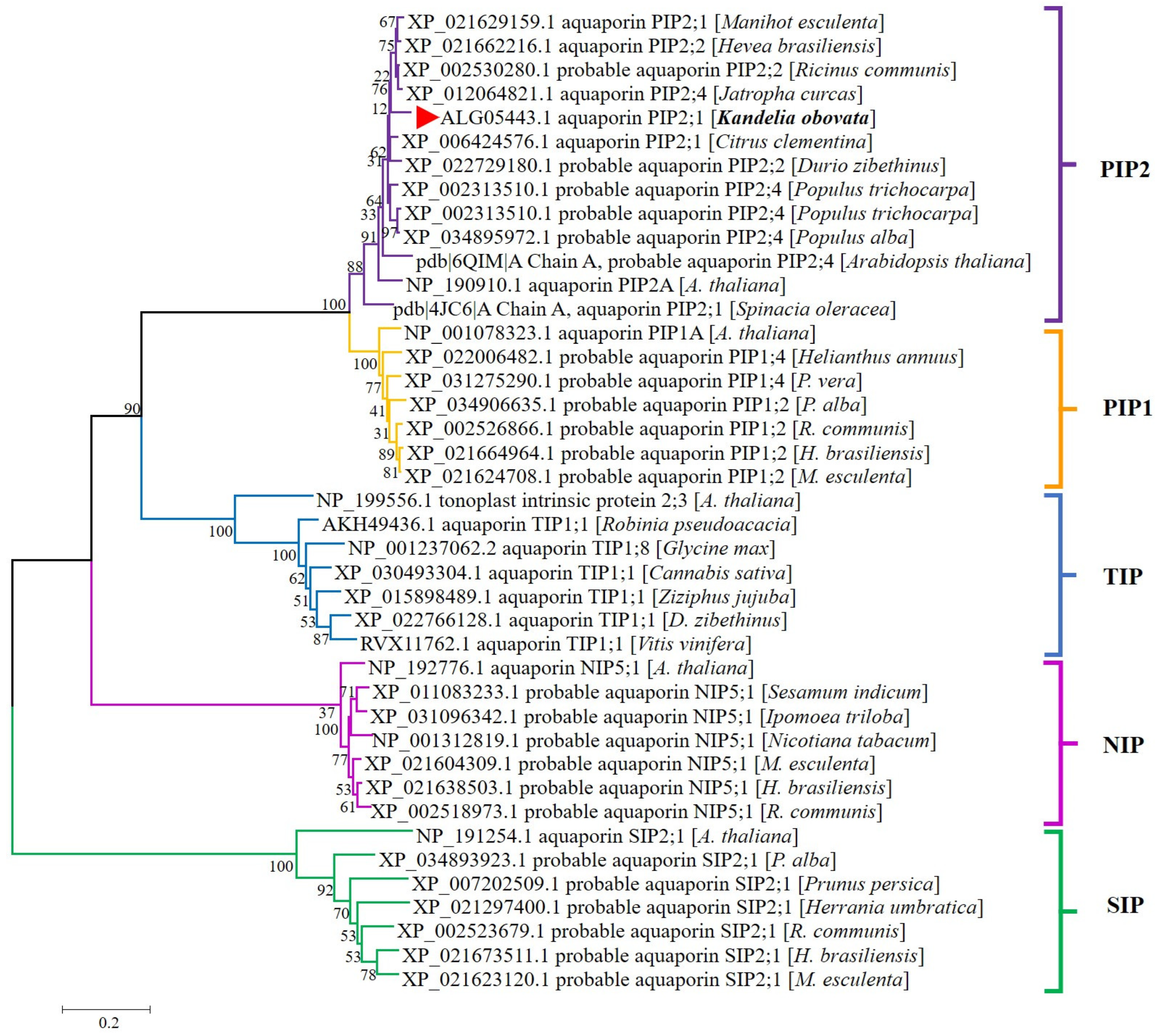 Bioengineering 10 00878 g002