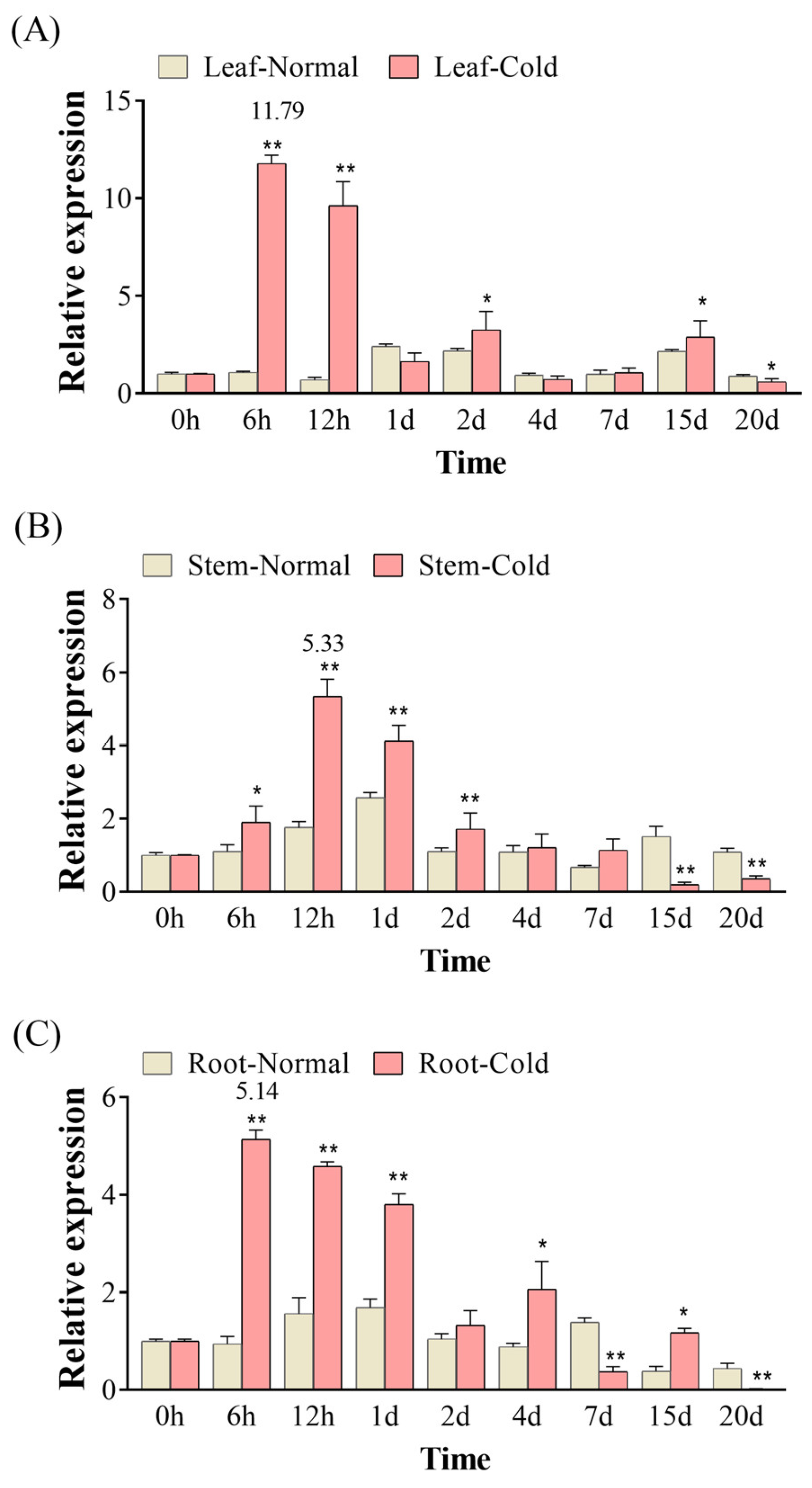Bioengineering 10 00878 g003