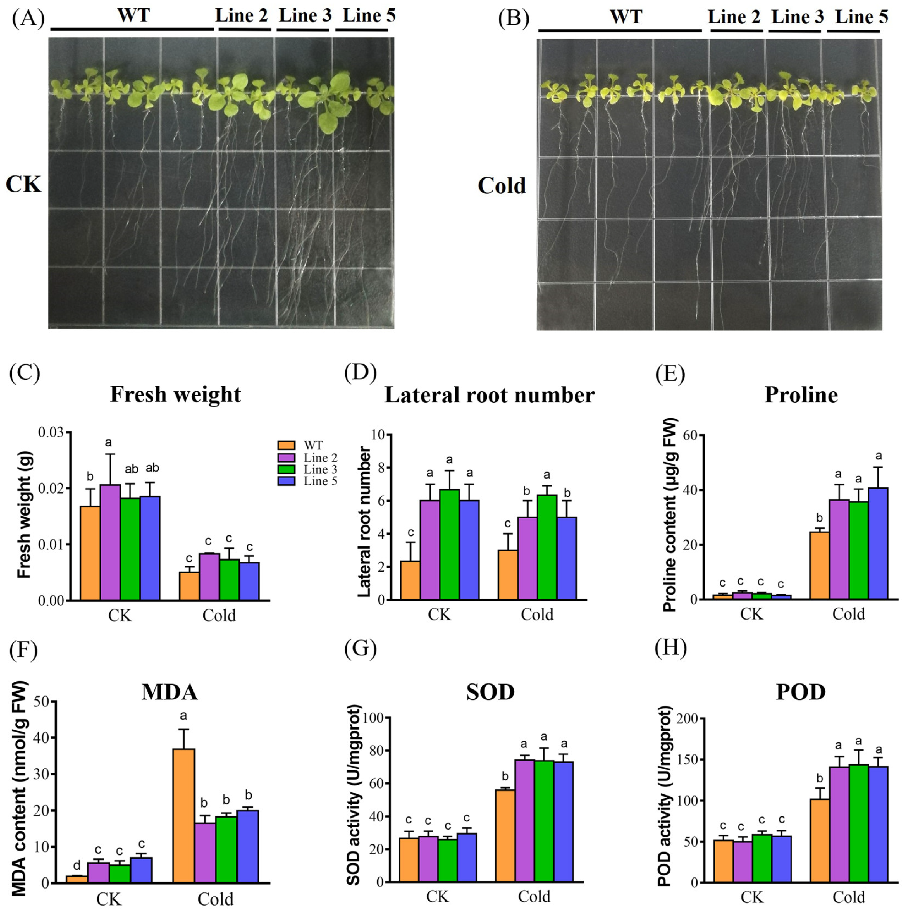 Bioengineering 10 00878 g005