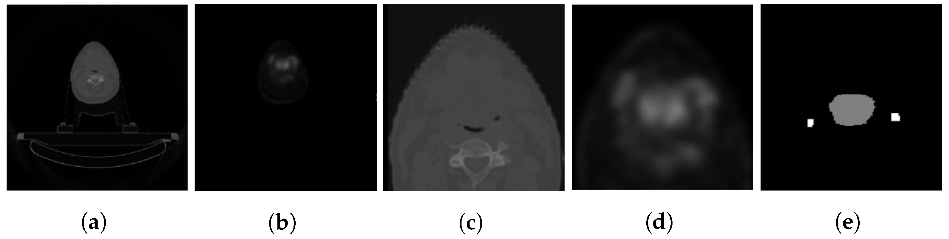 Bioengineering 10 00879 g003