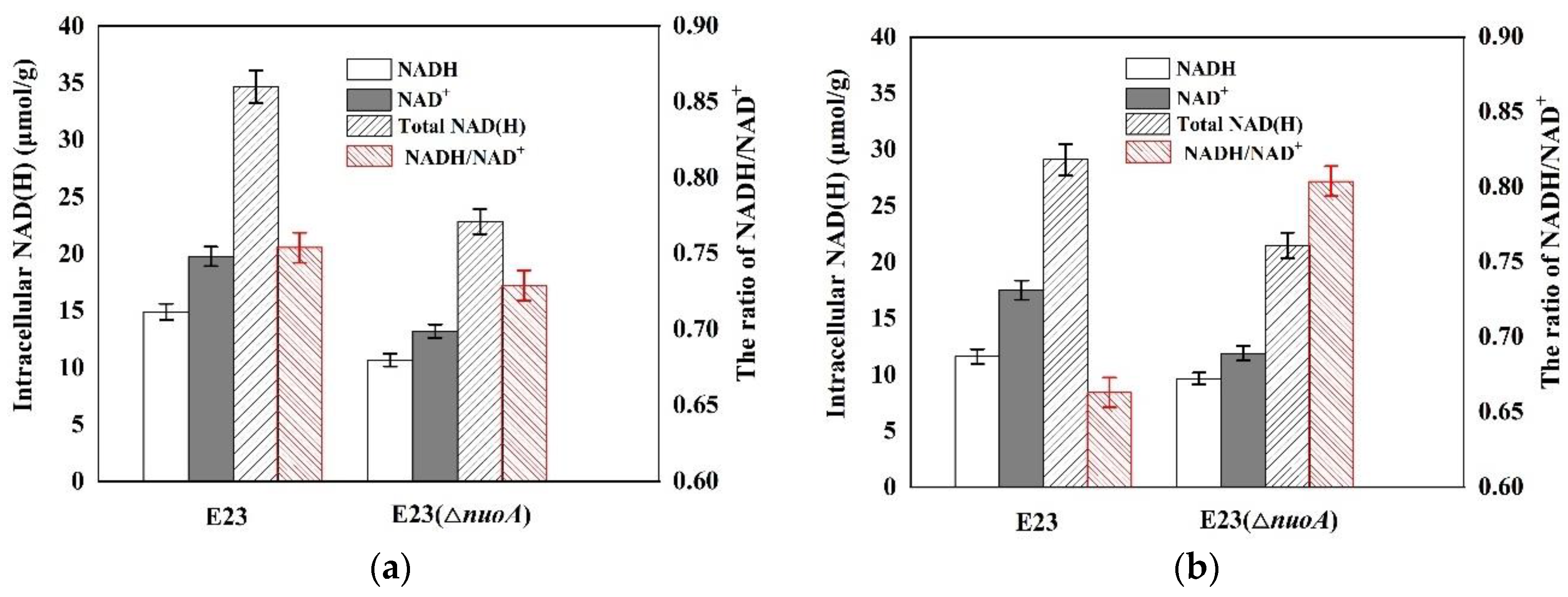 Bioengineering 10 00881 g004