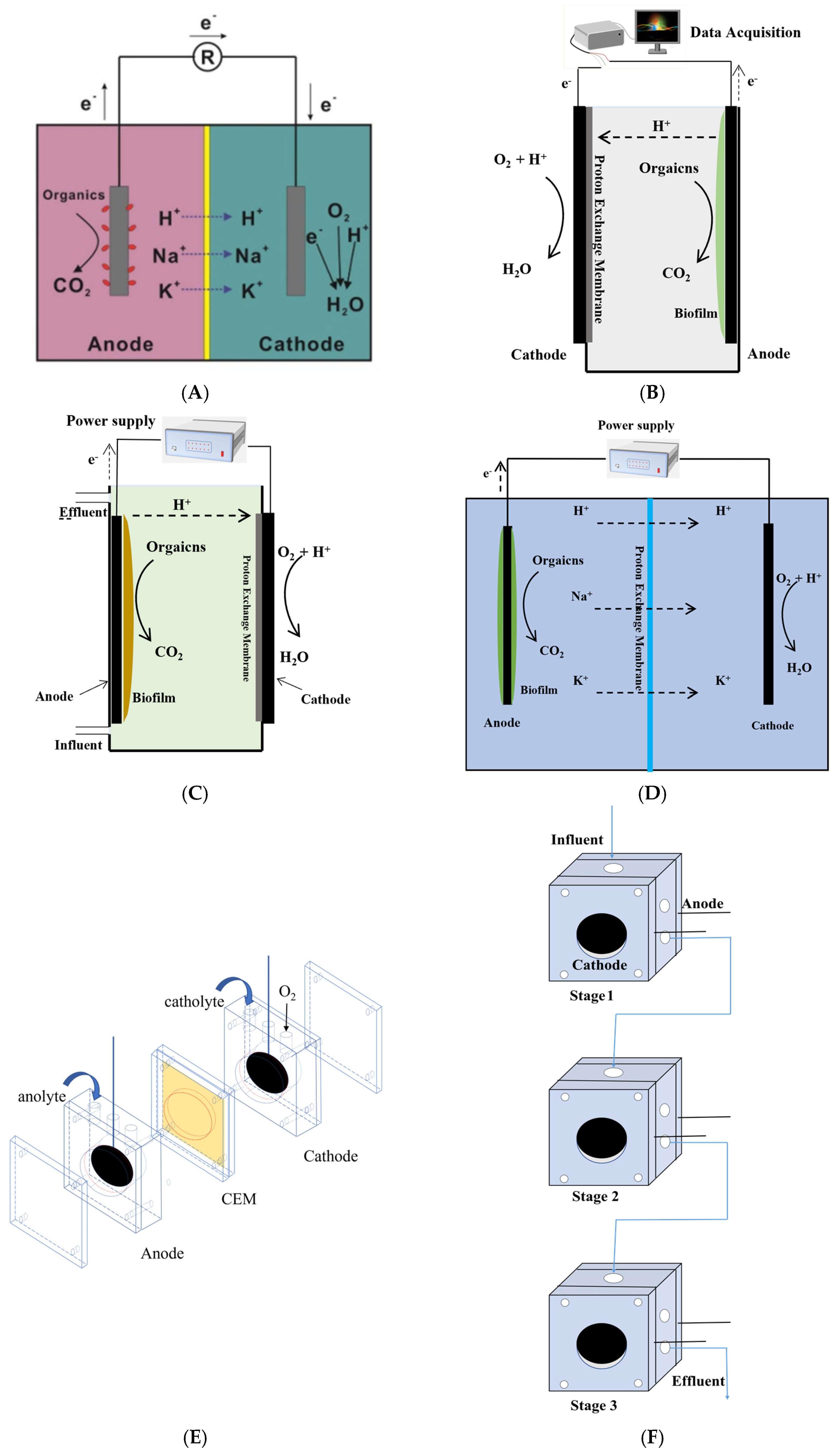Bioengineering 10 00886 g002a Bioengineering 10 00886 g002a
