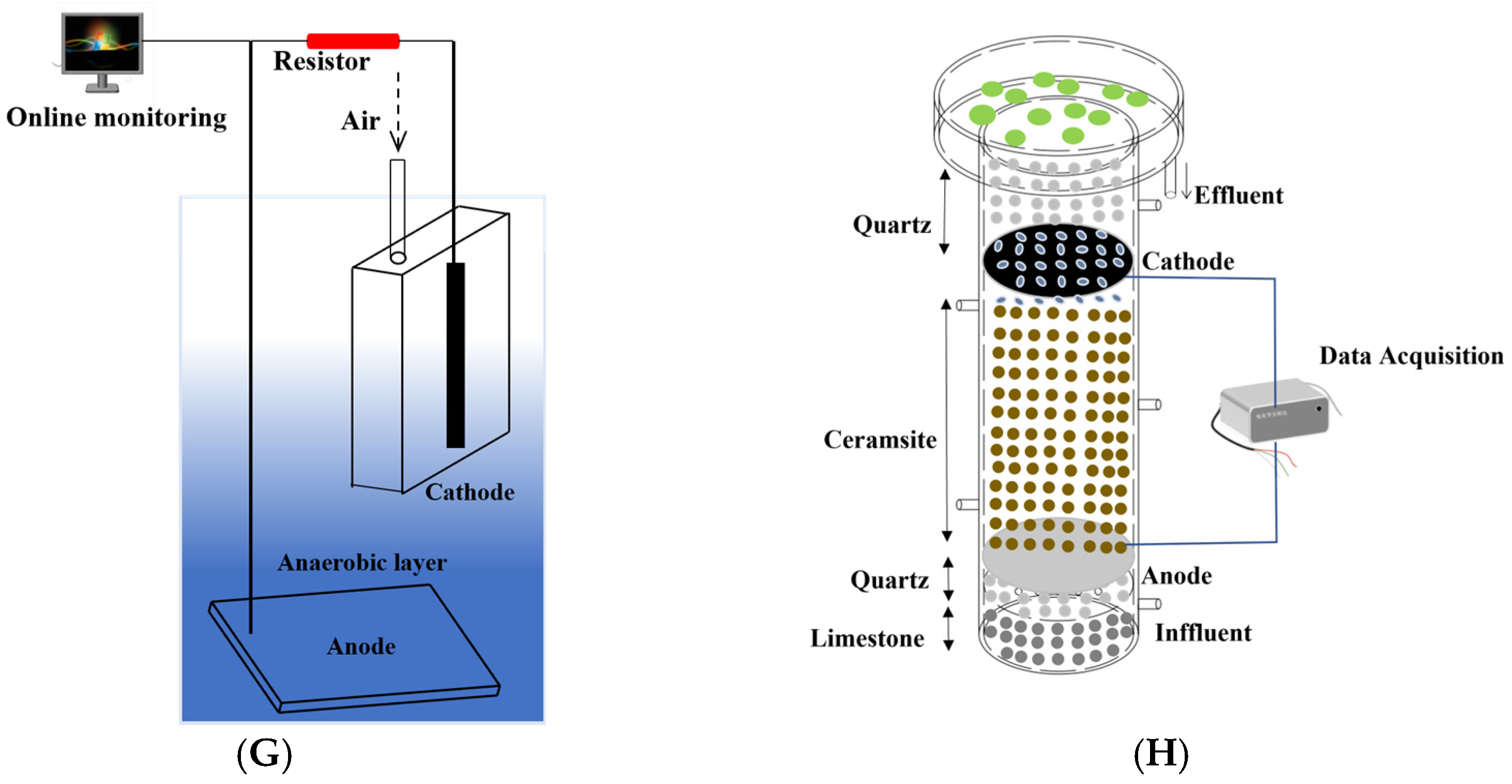 Bioengineering 10 00886 g002b Bioengineering 10 00886 g002b