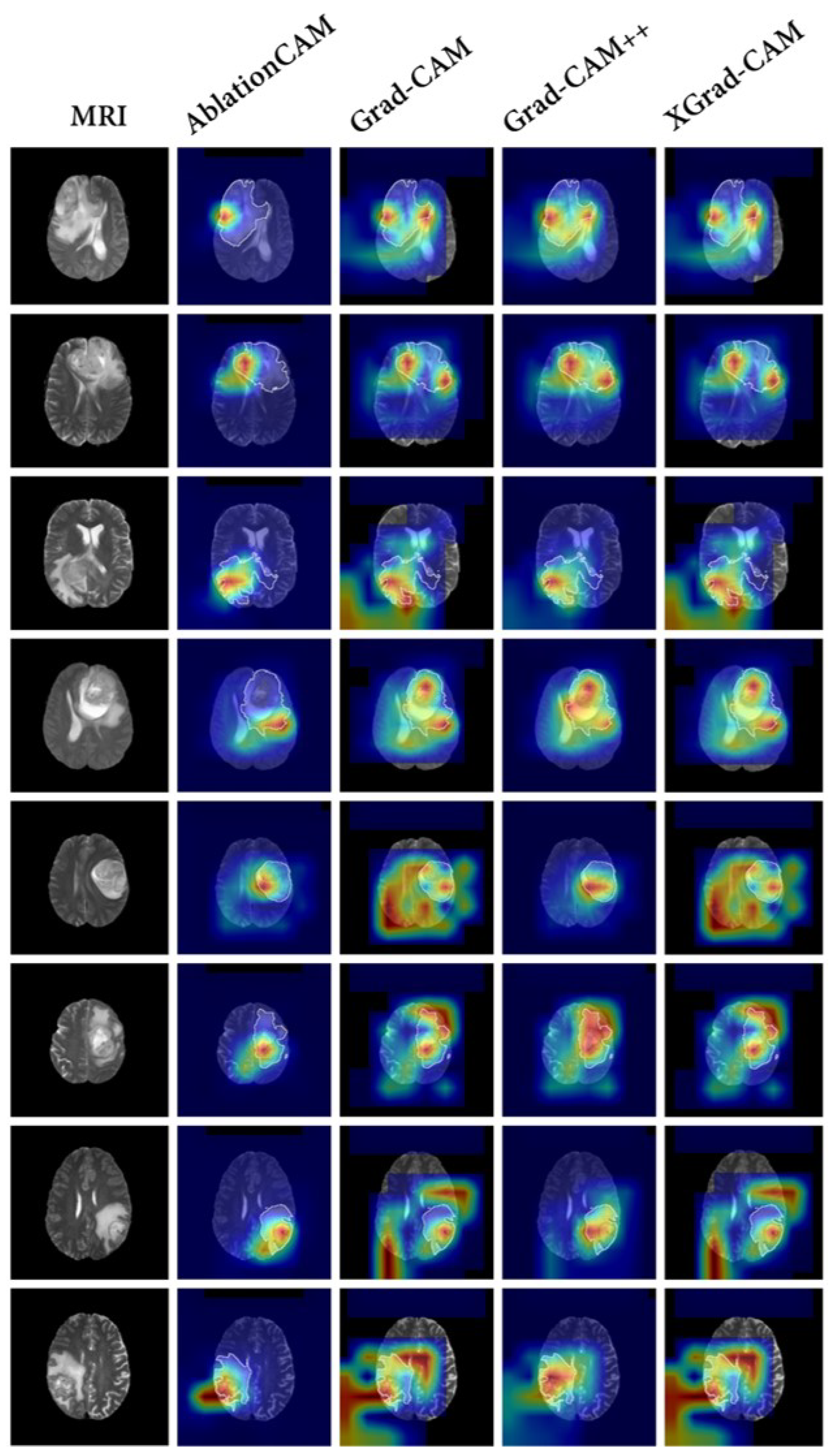 Bioengineering 10 00887 g006
