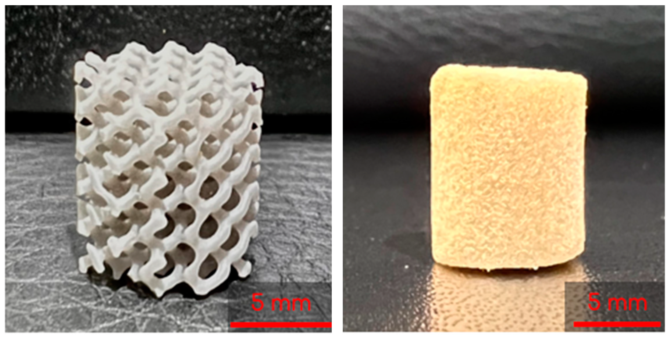 Bioengineering 10 00889 g002