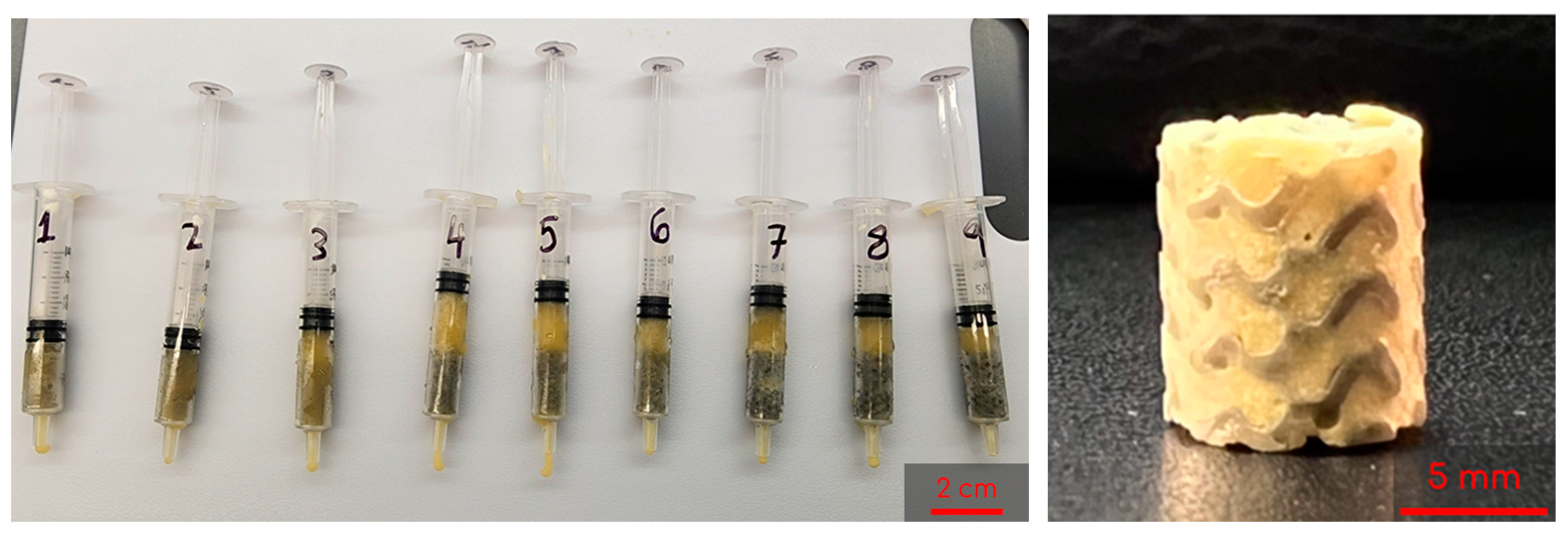Bioengineering 10 00889 g003