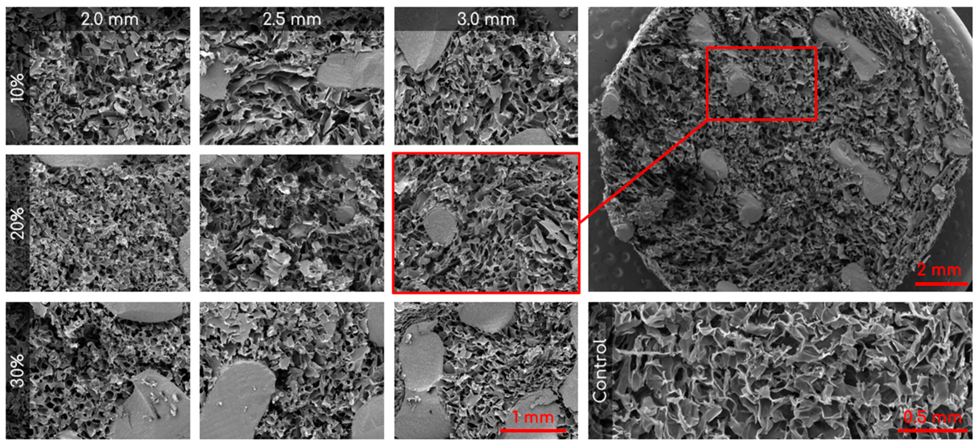 Bioengineering 10 00889 g004