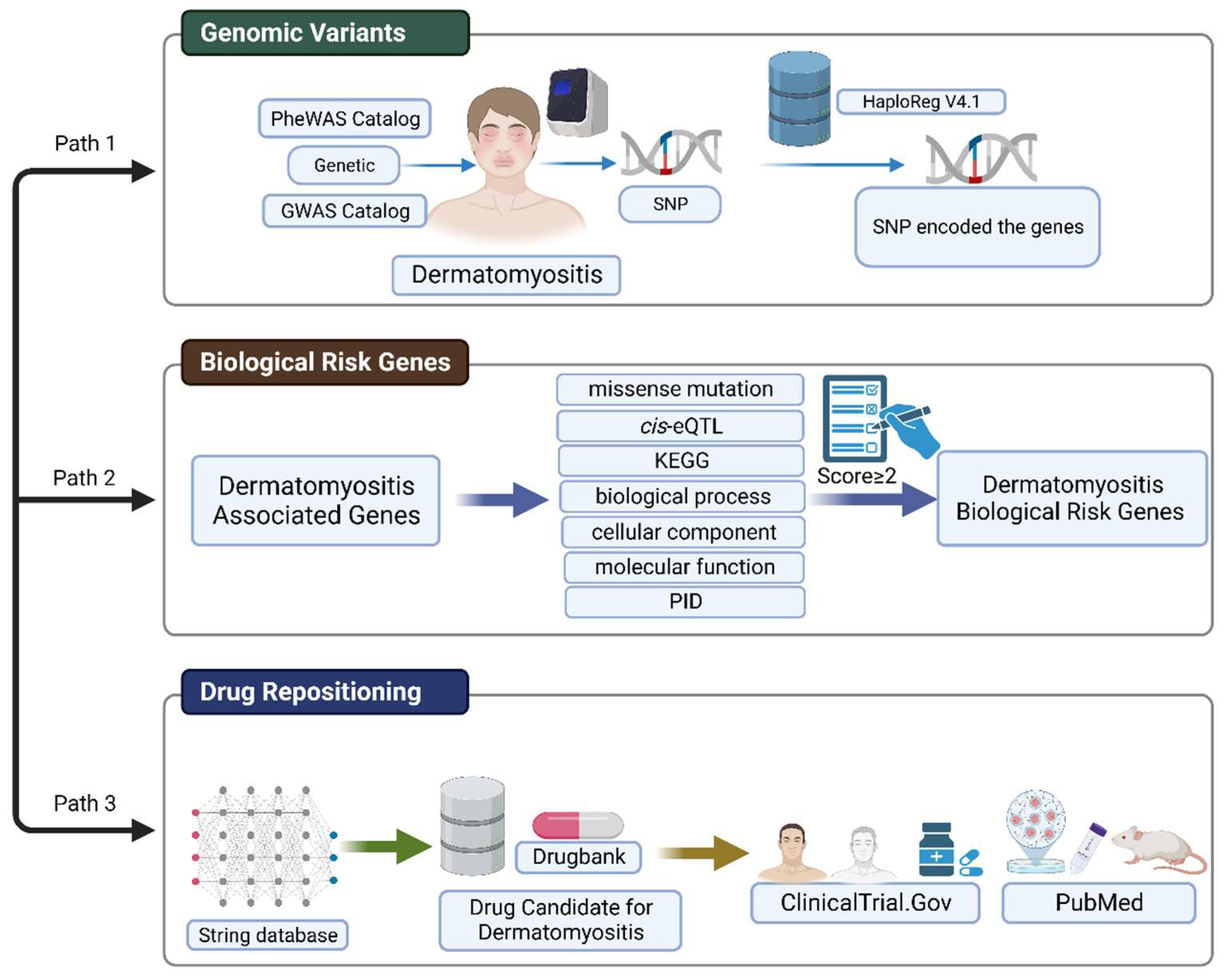 Bioengineering 10 00890 g003 Bioengineering 10 00890 g003