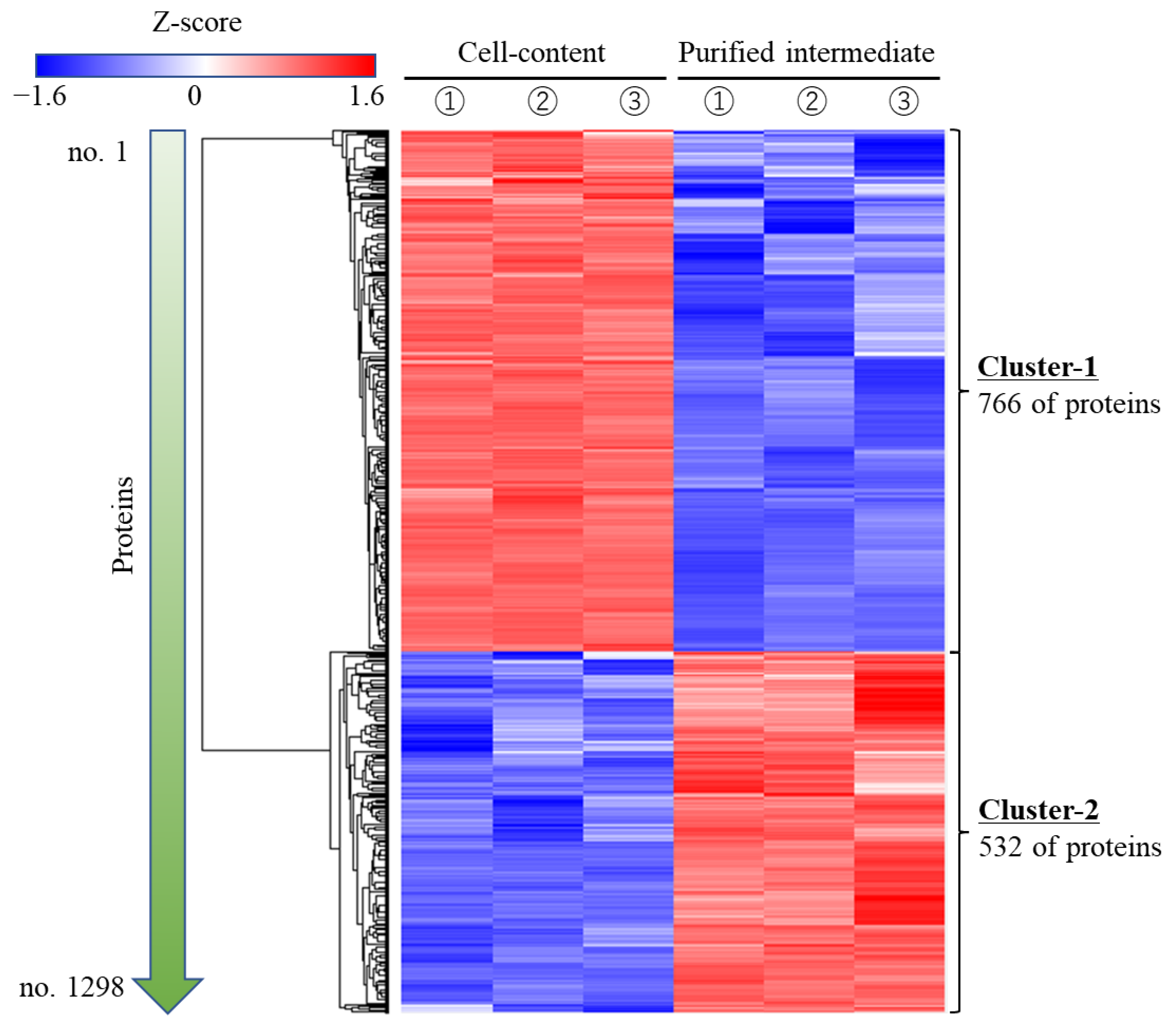 Bioengineering 10 00893 g005