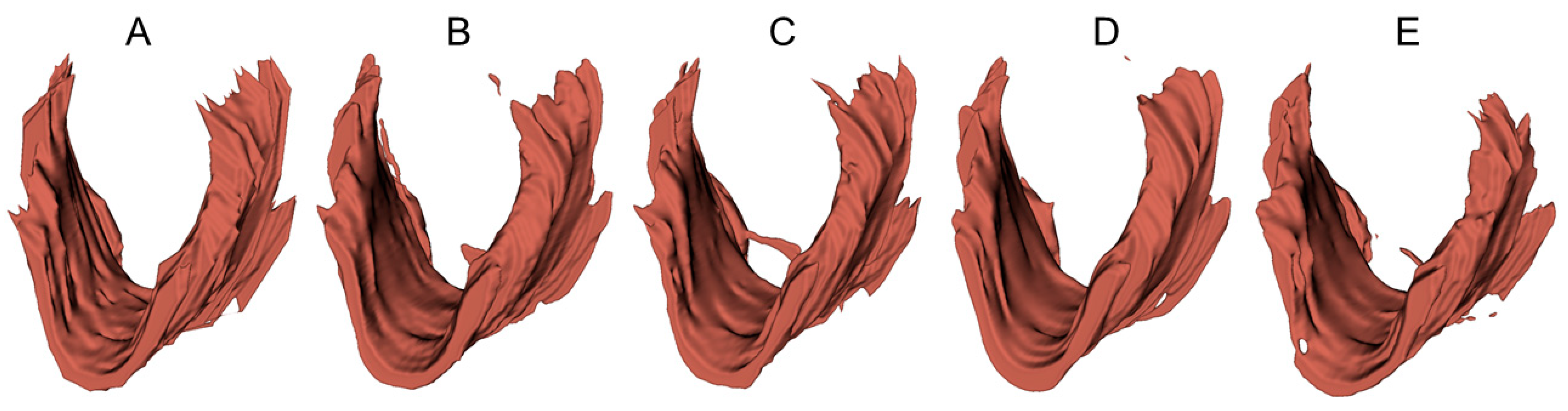 Bioengineering 10 00894 g006 Bioengineering 10 00894 g006