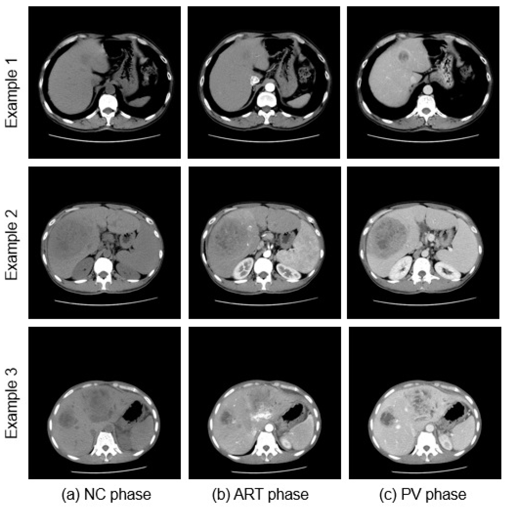 Bioengineering 10 00899 g001
