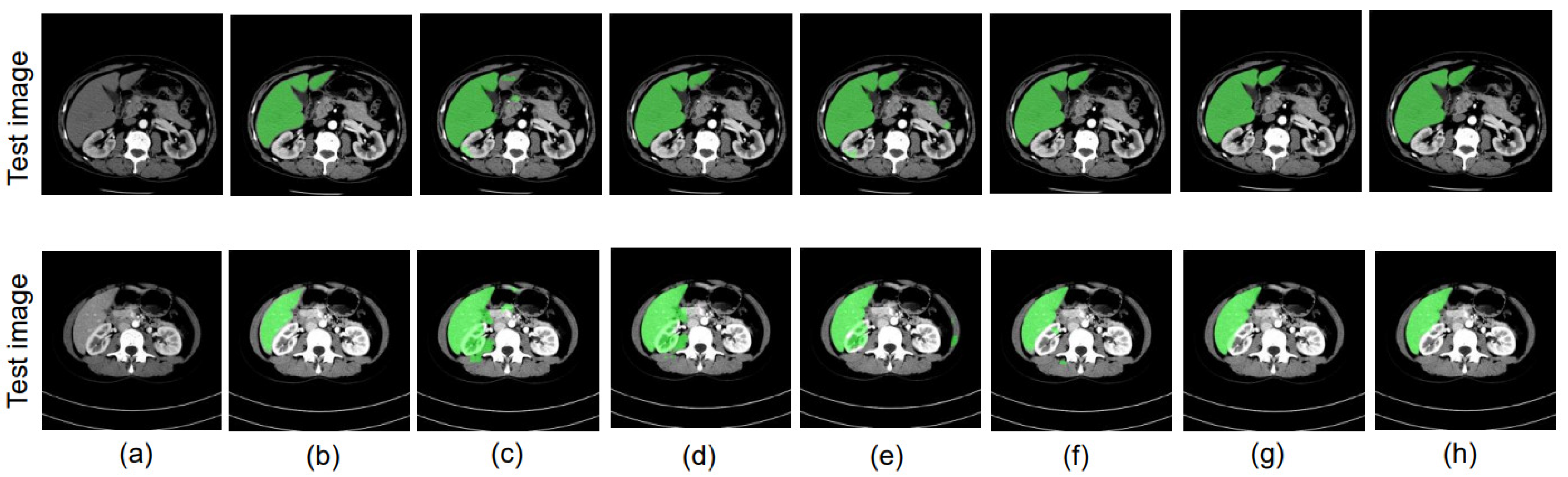 Bioengineering 10 00899 g006