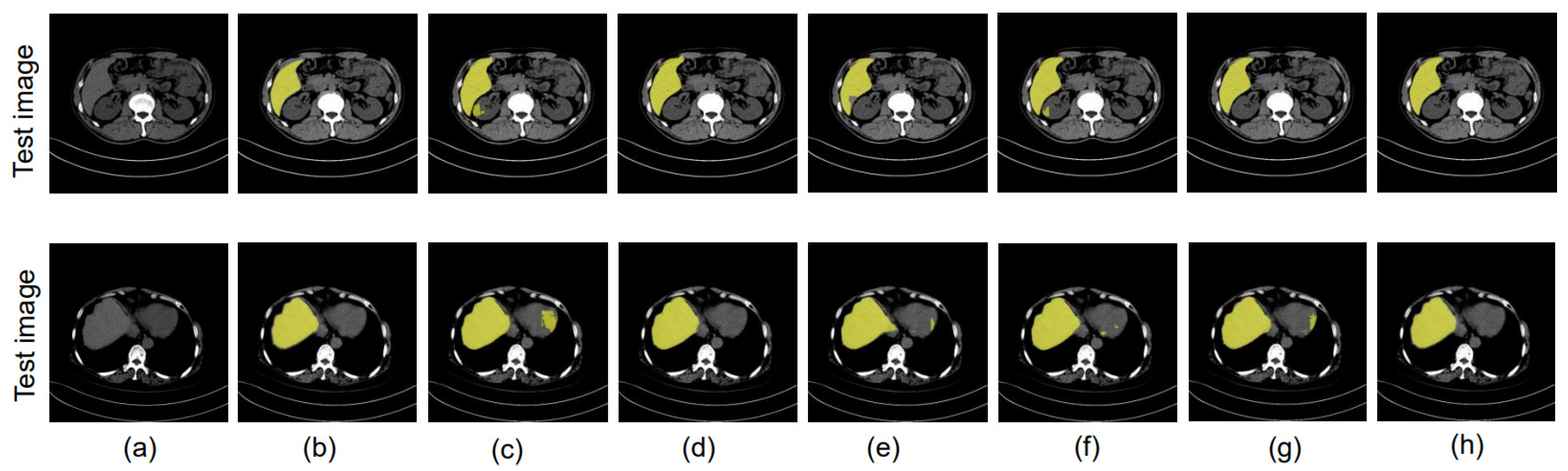 Bioengineering 10 00899 g007