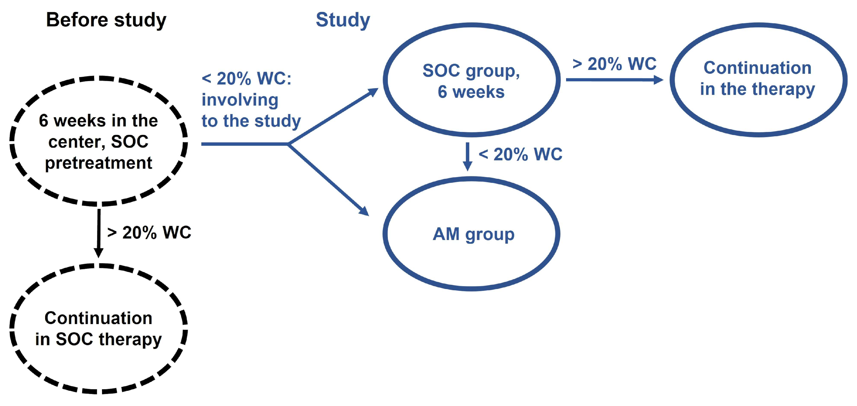 Bioengineering 10 00900 g001
