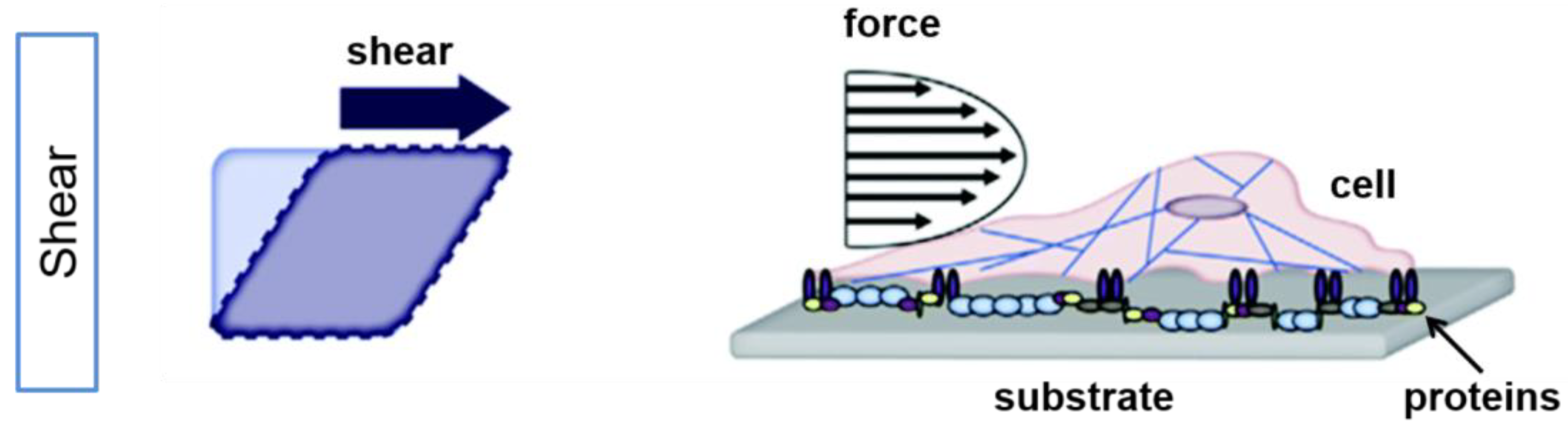 Bioengineering 10 00902 g001 Bioengineering 10 00902 g001