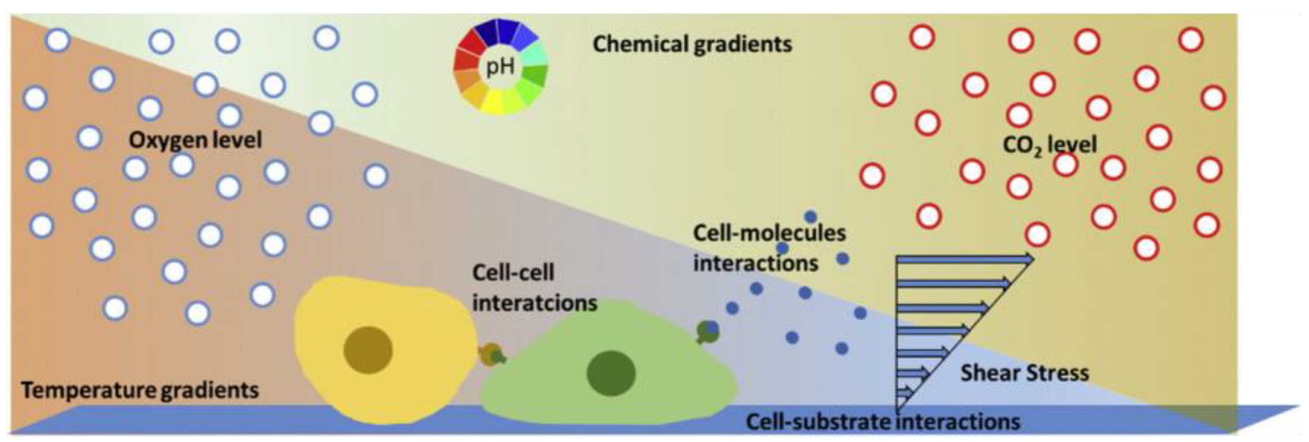 Bioengineering 10 00902 g004 Bioengineering 10 00902 g004