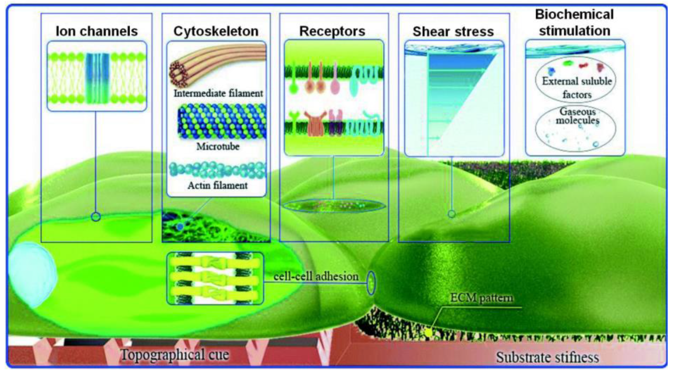 Bioengineering 10 00902 g005 Bioengineering 10 00902 g005