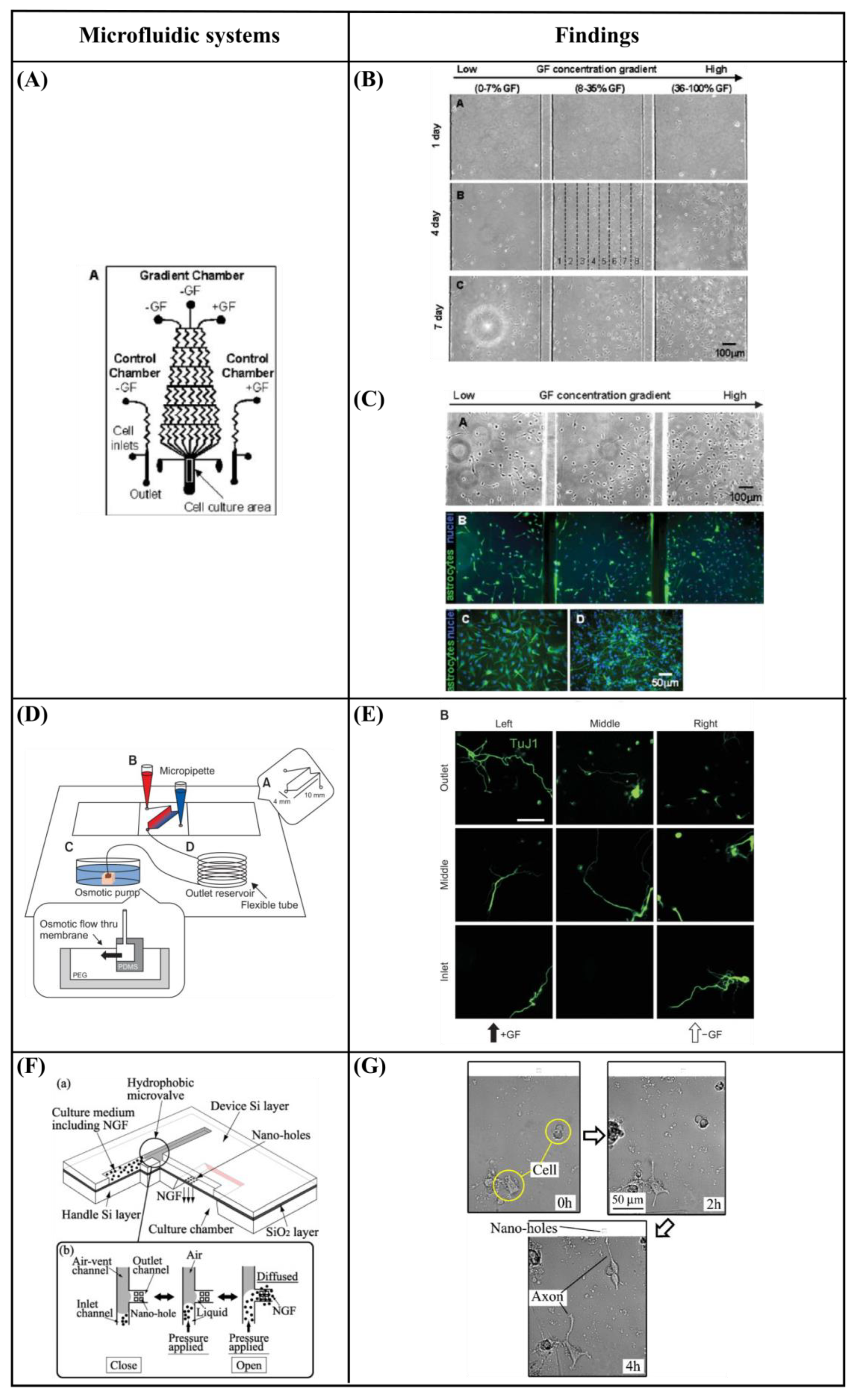 Bioengineering 10 00902 g007a Bioengineering 10 00902 g007a