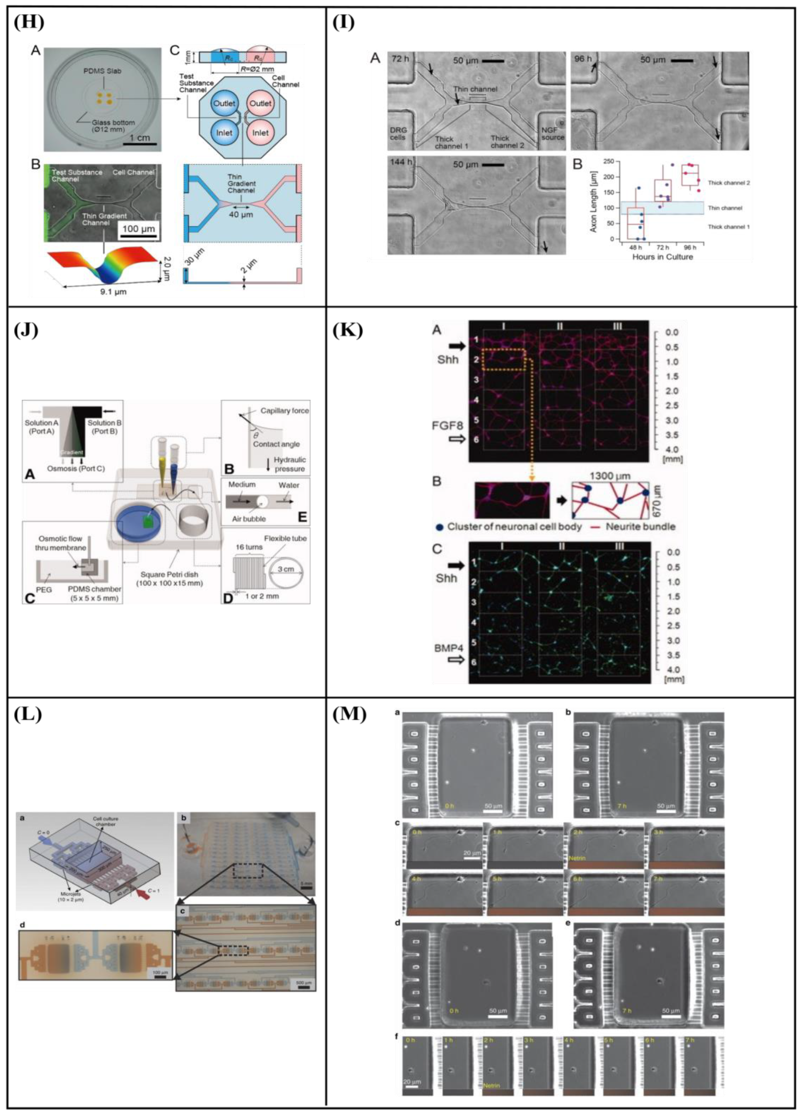 Bioengineering 10 00902 g007b Bioengineering 10 00902 g007b