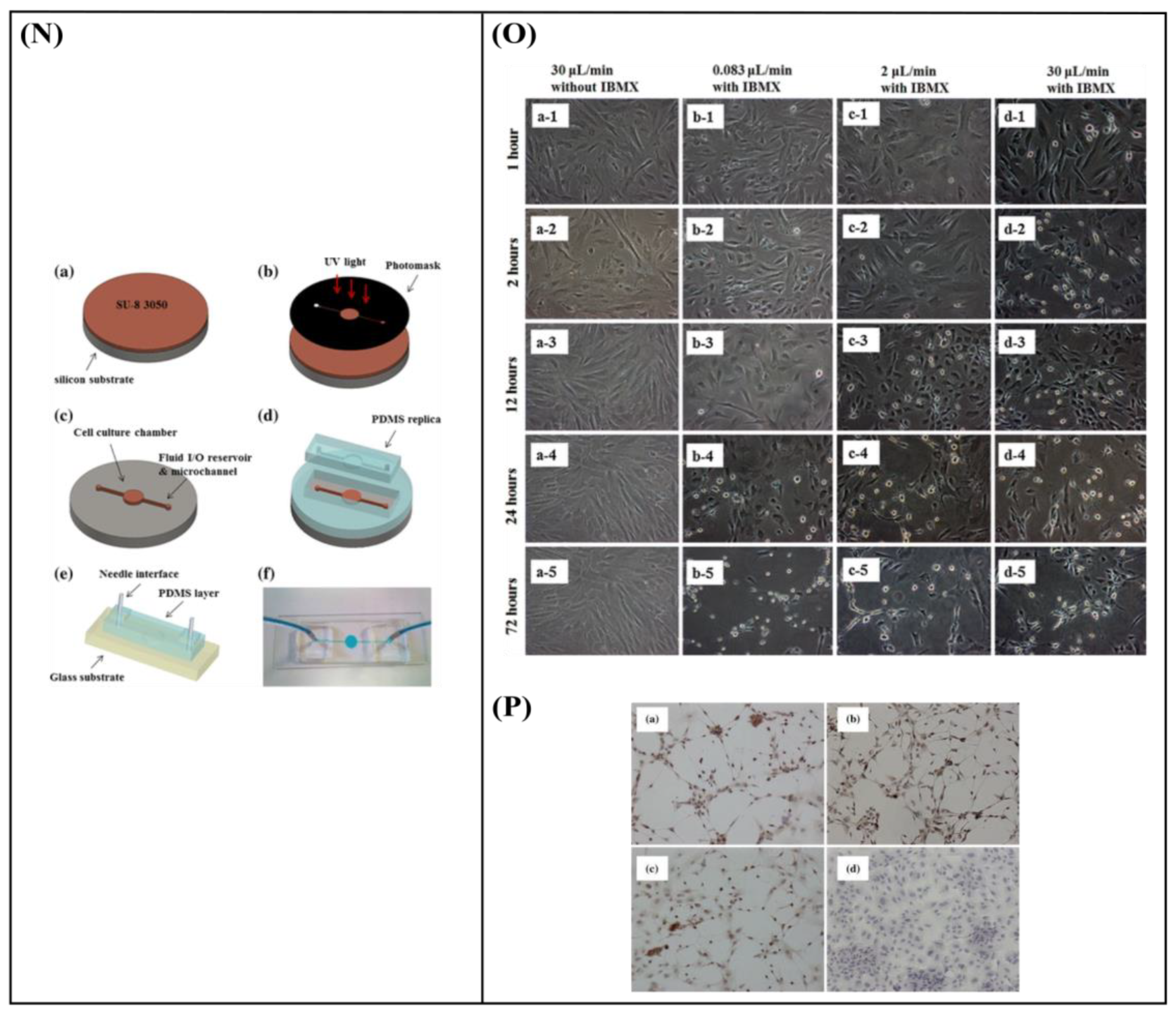 Bioengineering 10 00902 g007c Bioengineering 10 00902 g007c