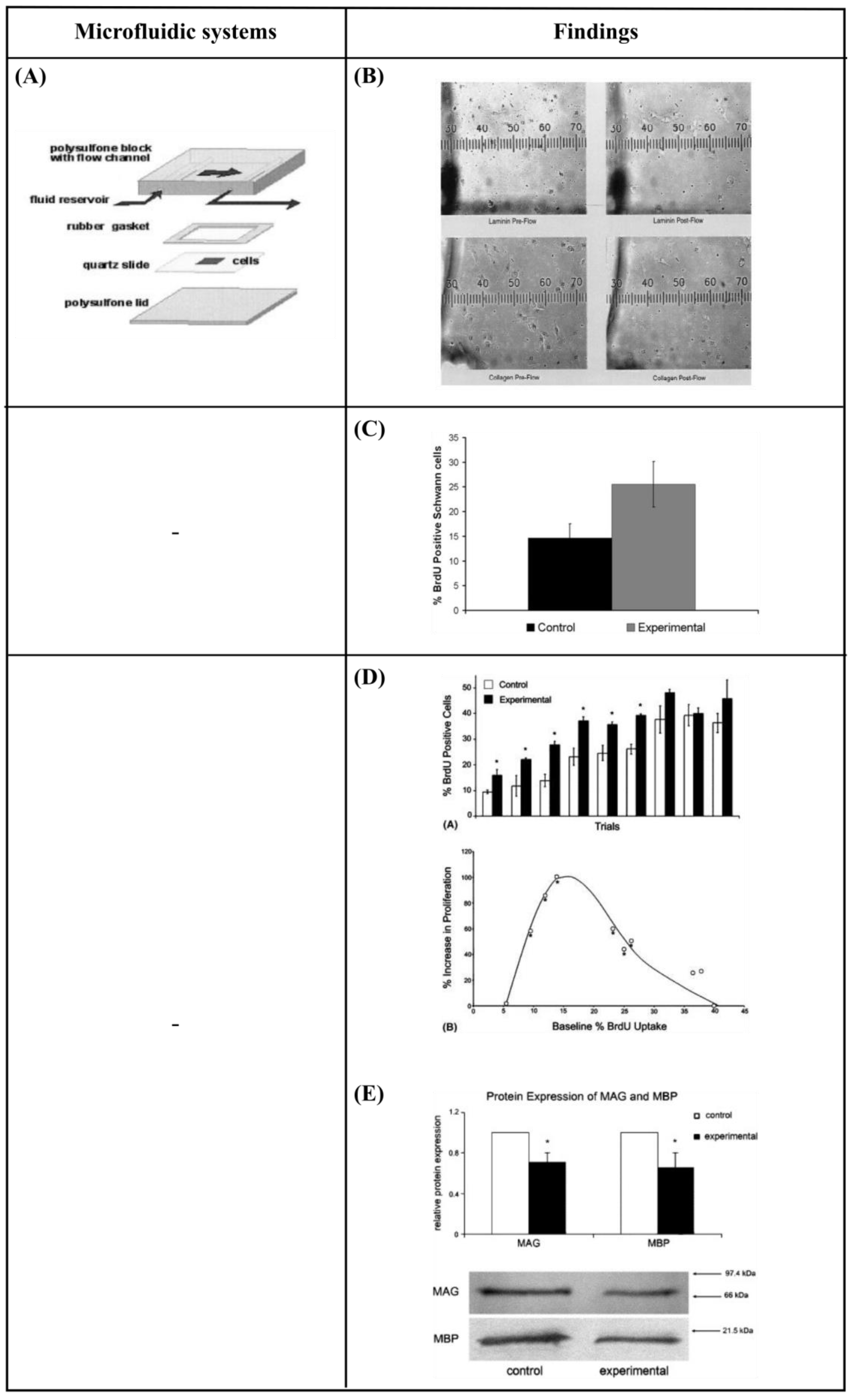 Bioengineering 10 00902 g008a Bioengineering 10 00902 g008a