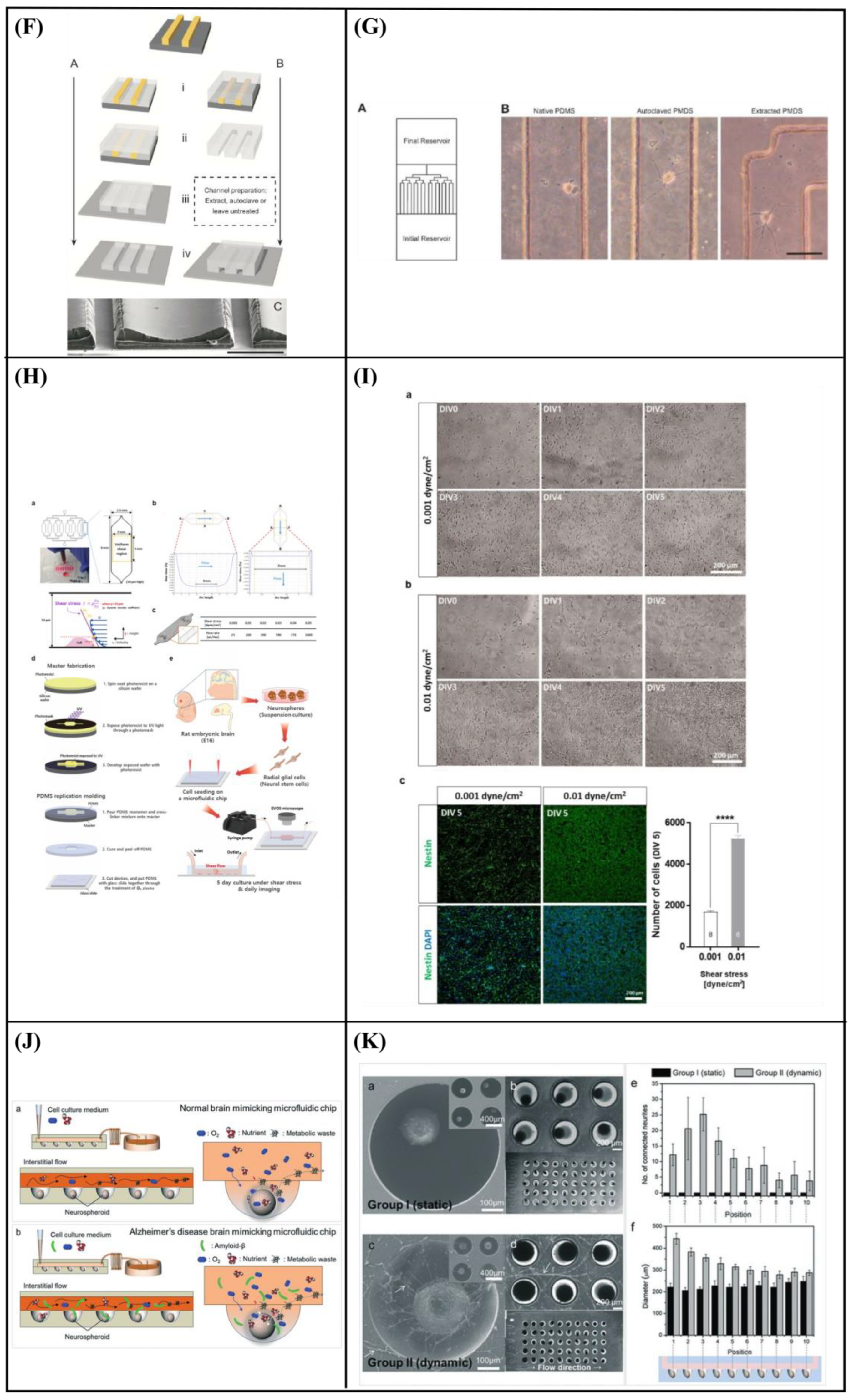 Bioengineering 10 00902 g008b Bioengineering 10 00902 g008b