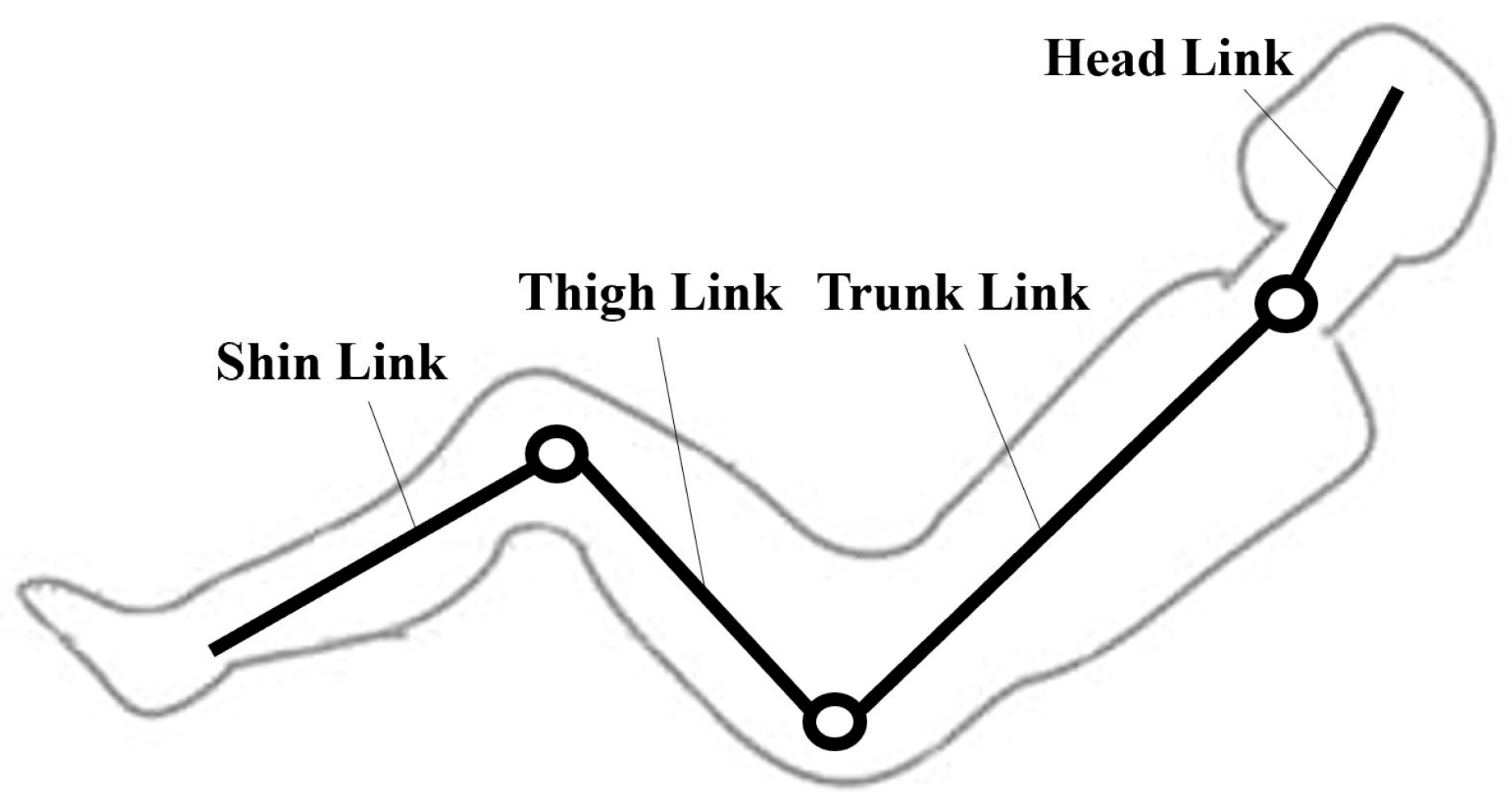 Bioengineering 10 00903 g001