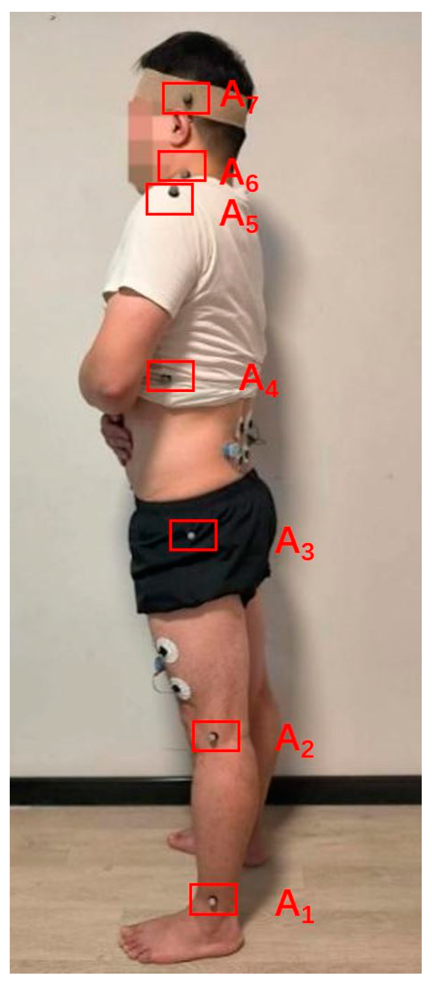 Bioengineering 10 00903 g003