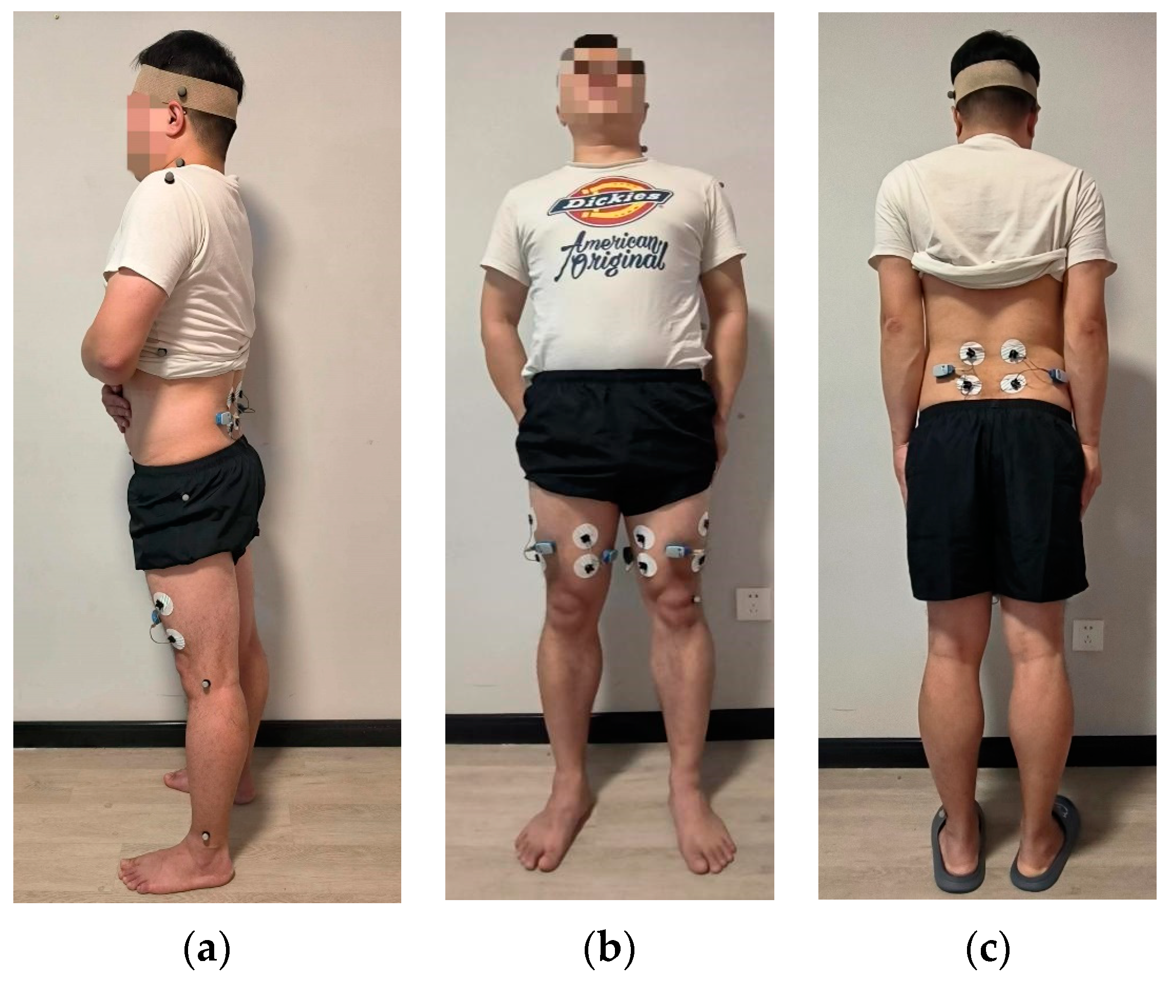Bioengineering 10 00903 g005