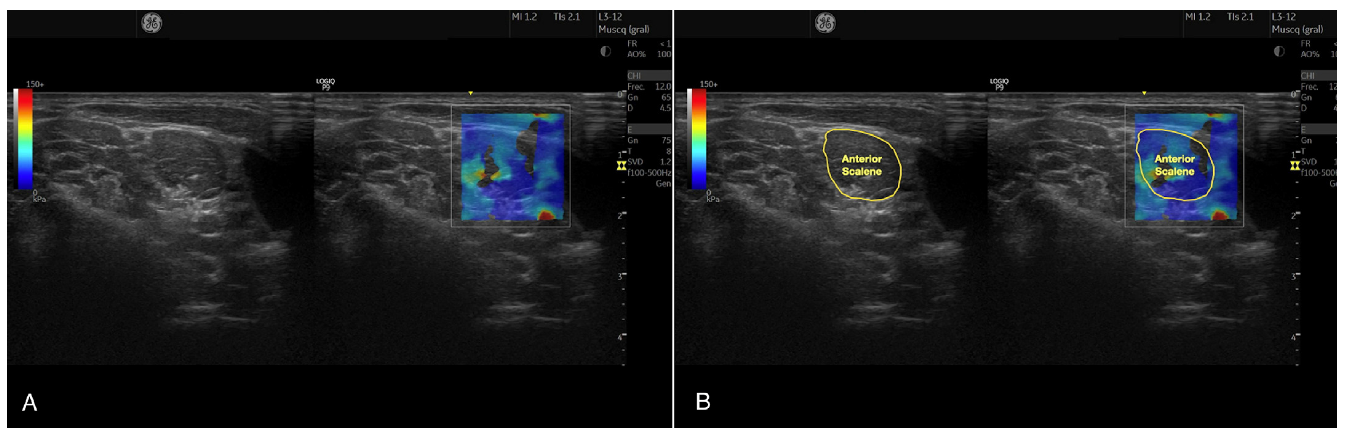 Bioengineering 10 00904 g001 Bioengineering 10 00904 g001
