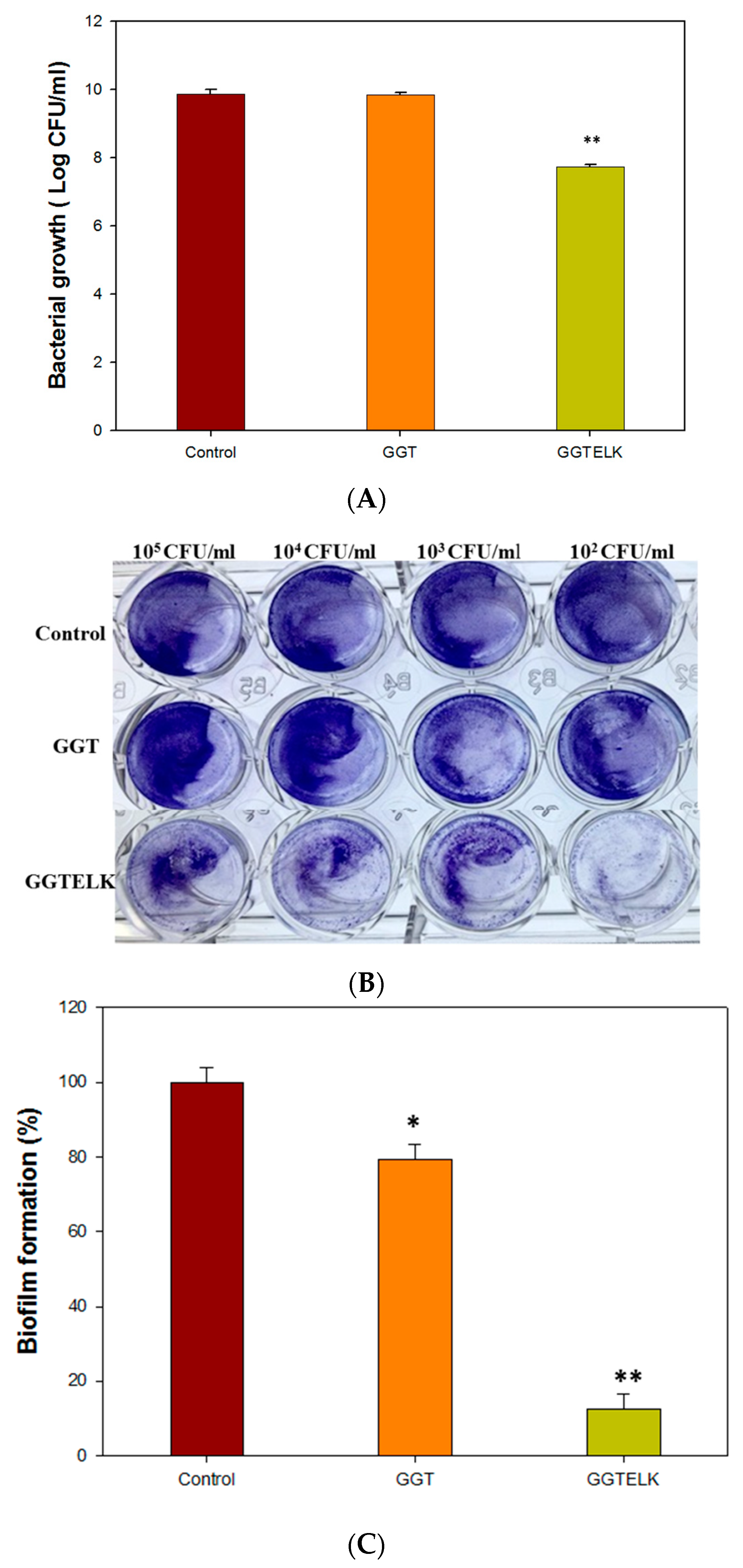 Bioengineering 10 00906 g008 Bioengineering 10 00906 g008
