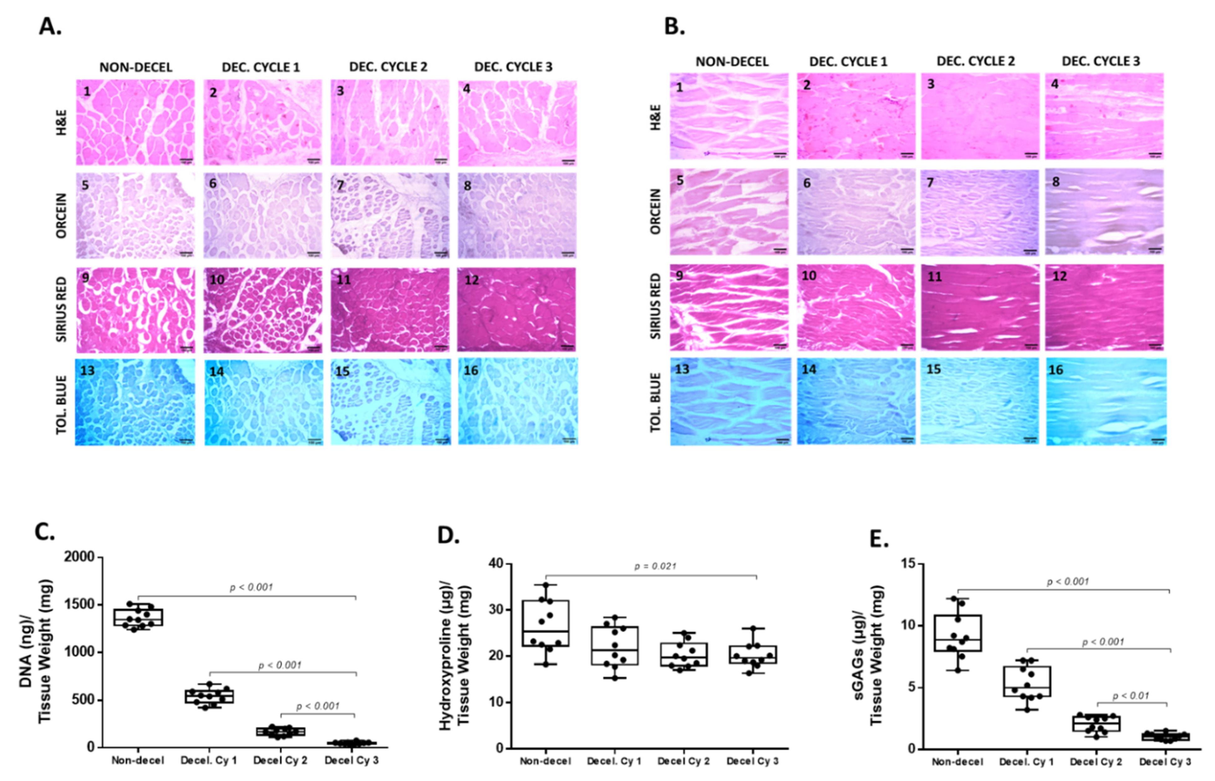 Bioengineering 10 00913 g002 Bioengineering 10 00913 g002