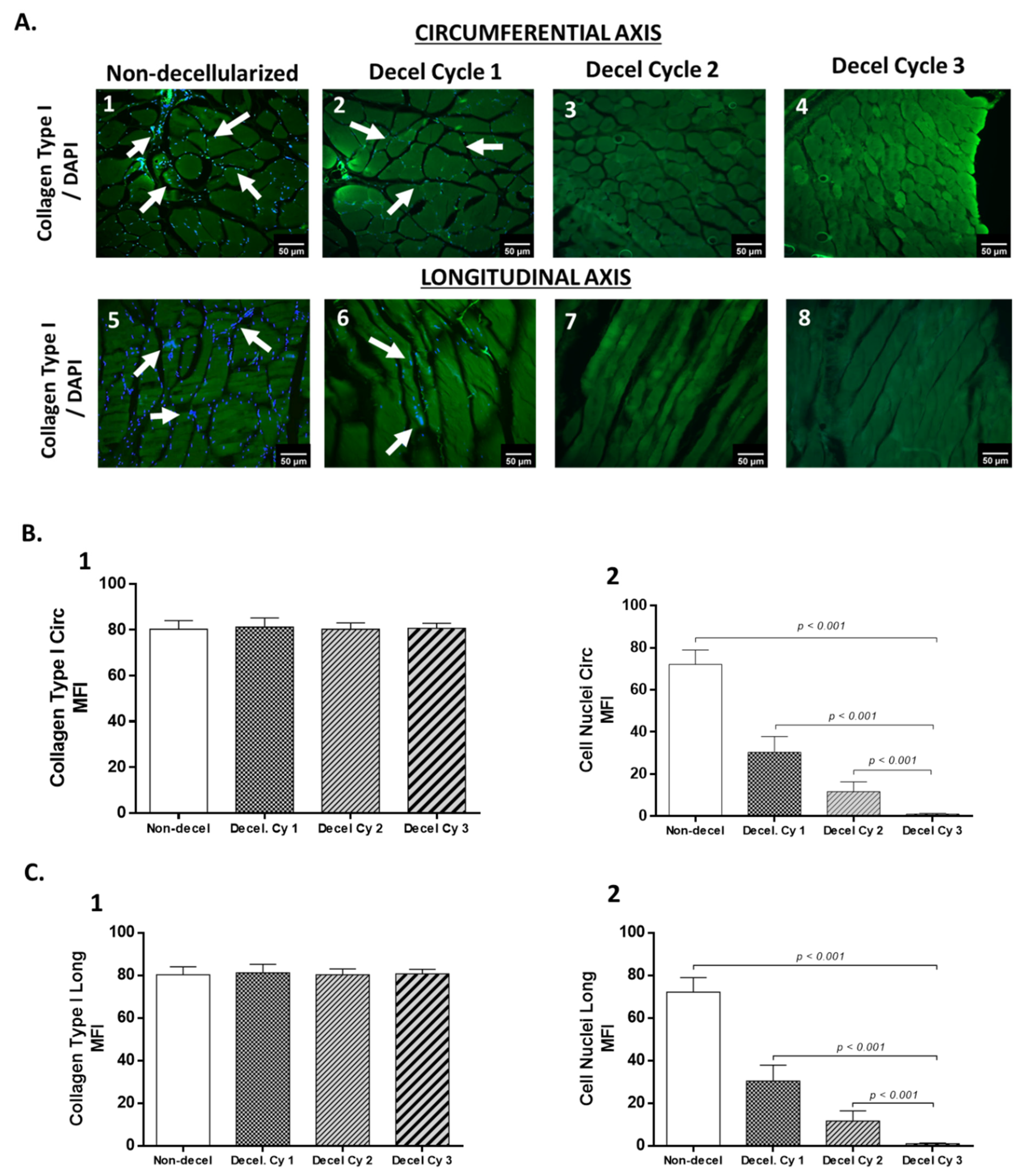 Bioengineering 10 00913 g003 Bioengineering 10 00913 g003