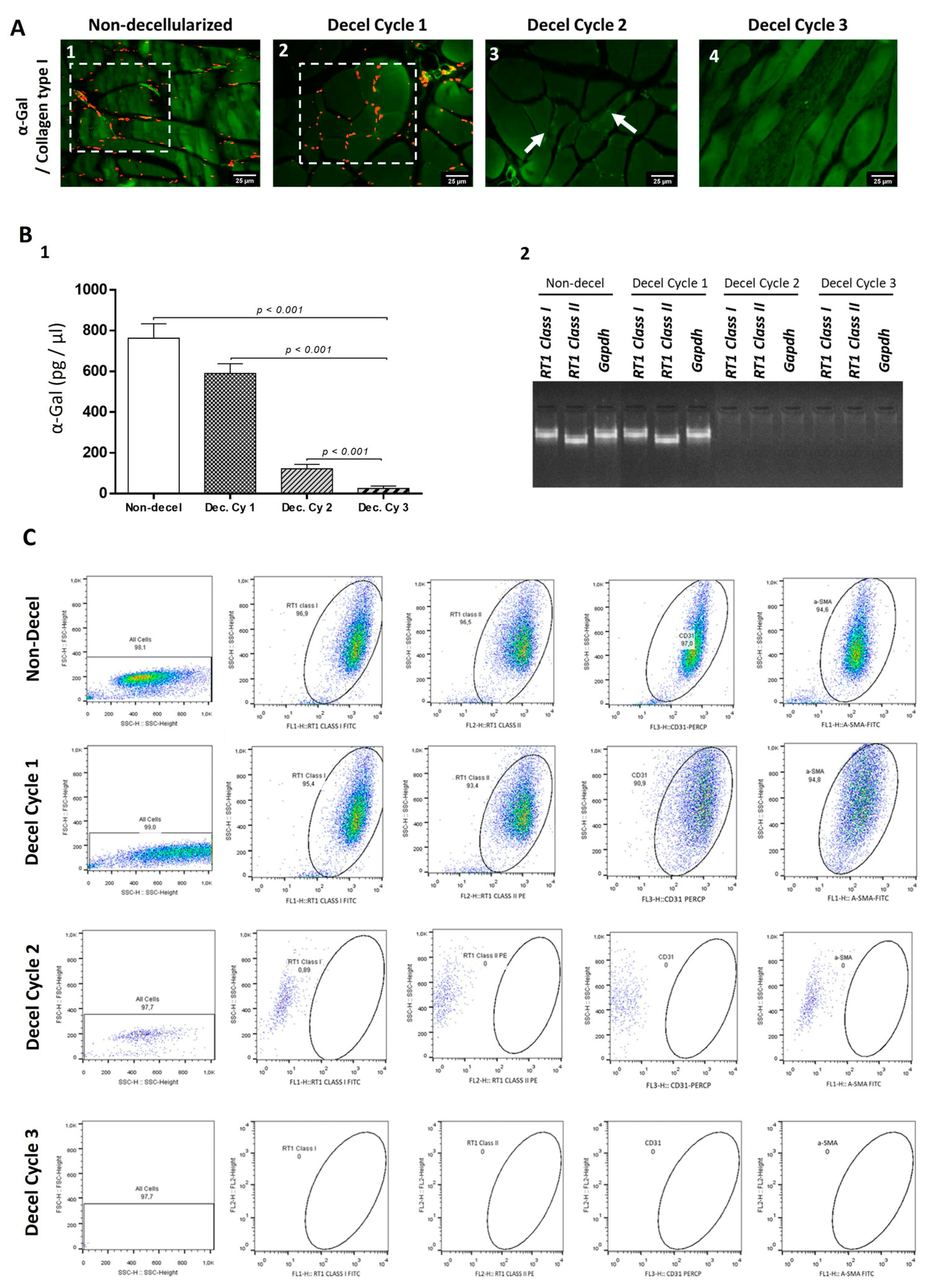 Bioengineering 10 00913 g005 Bioengineering 10 00913 g005