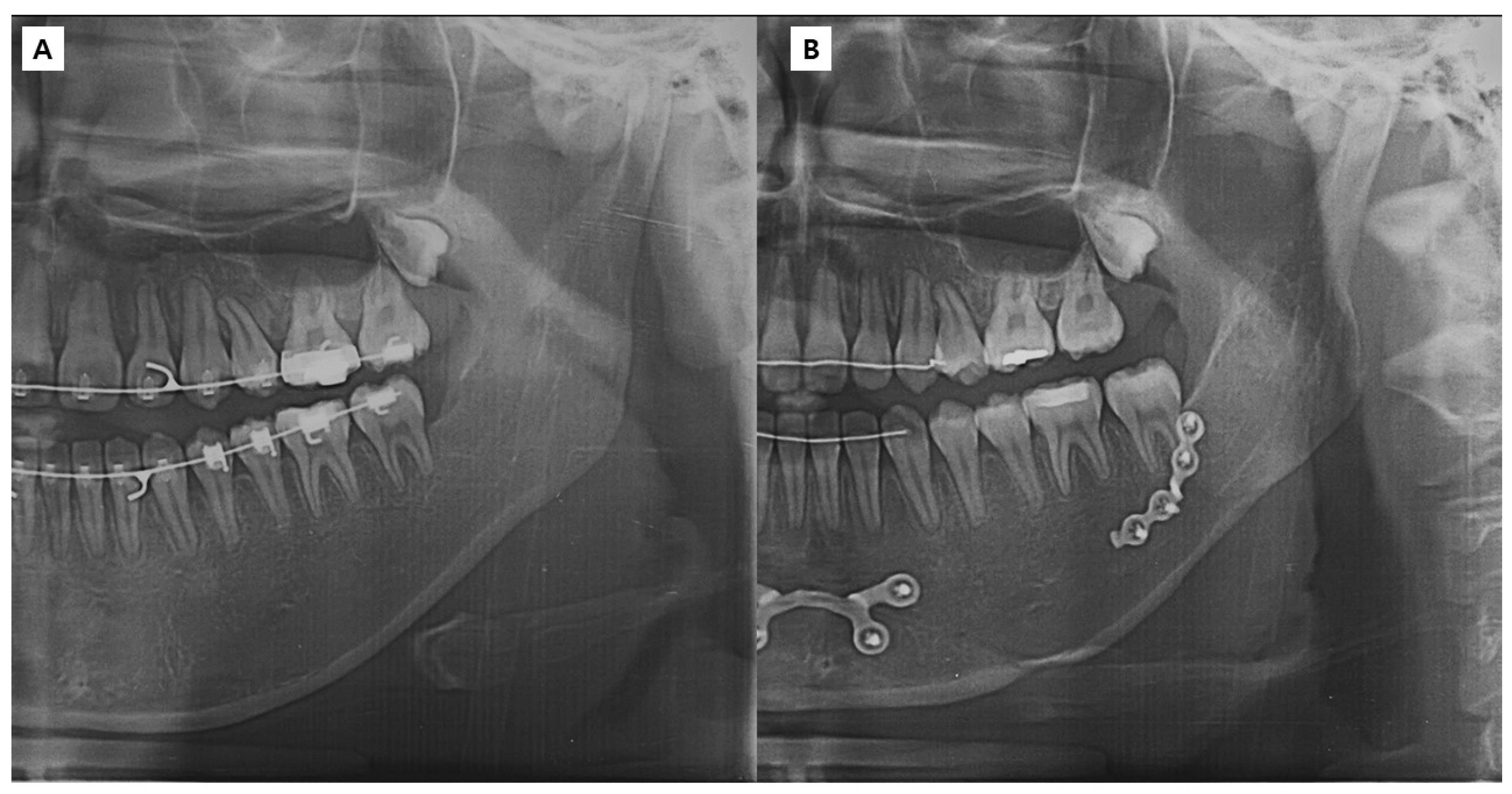 Bioengineering 10 00914 g002